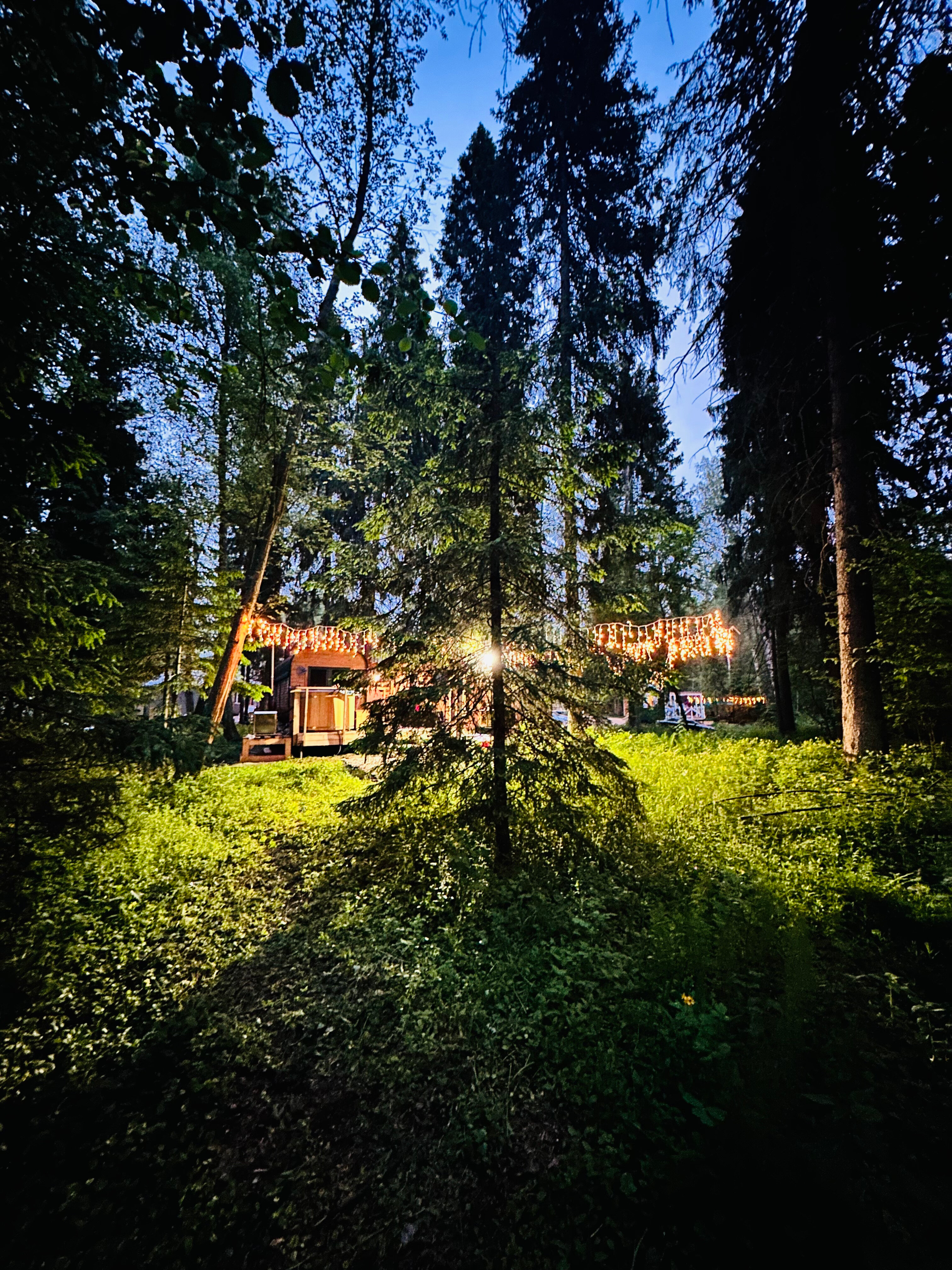 Фото Лесная тропа