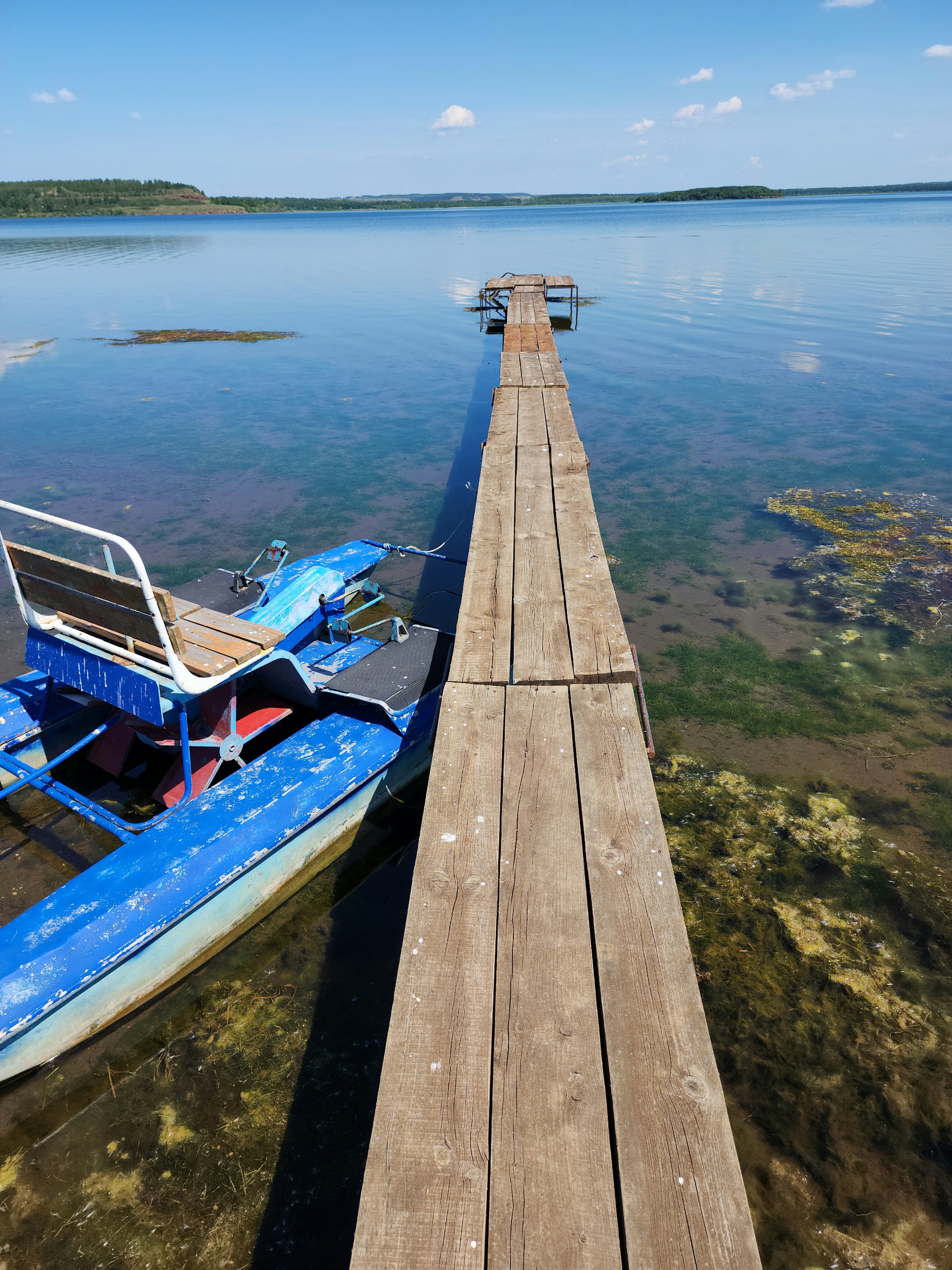 Фото Берёзка Кандрыкуль