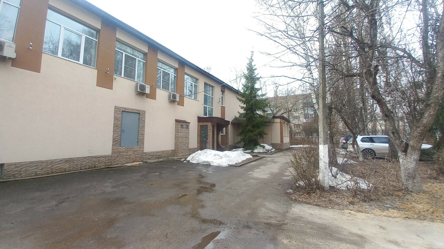 Фото Яблоки