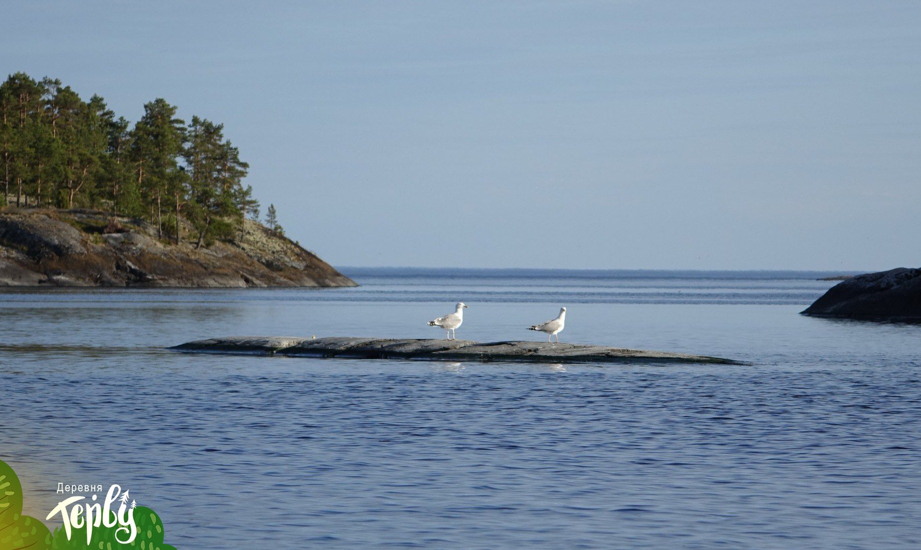 Фото Центр Активного Отдыха Деревня Терву