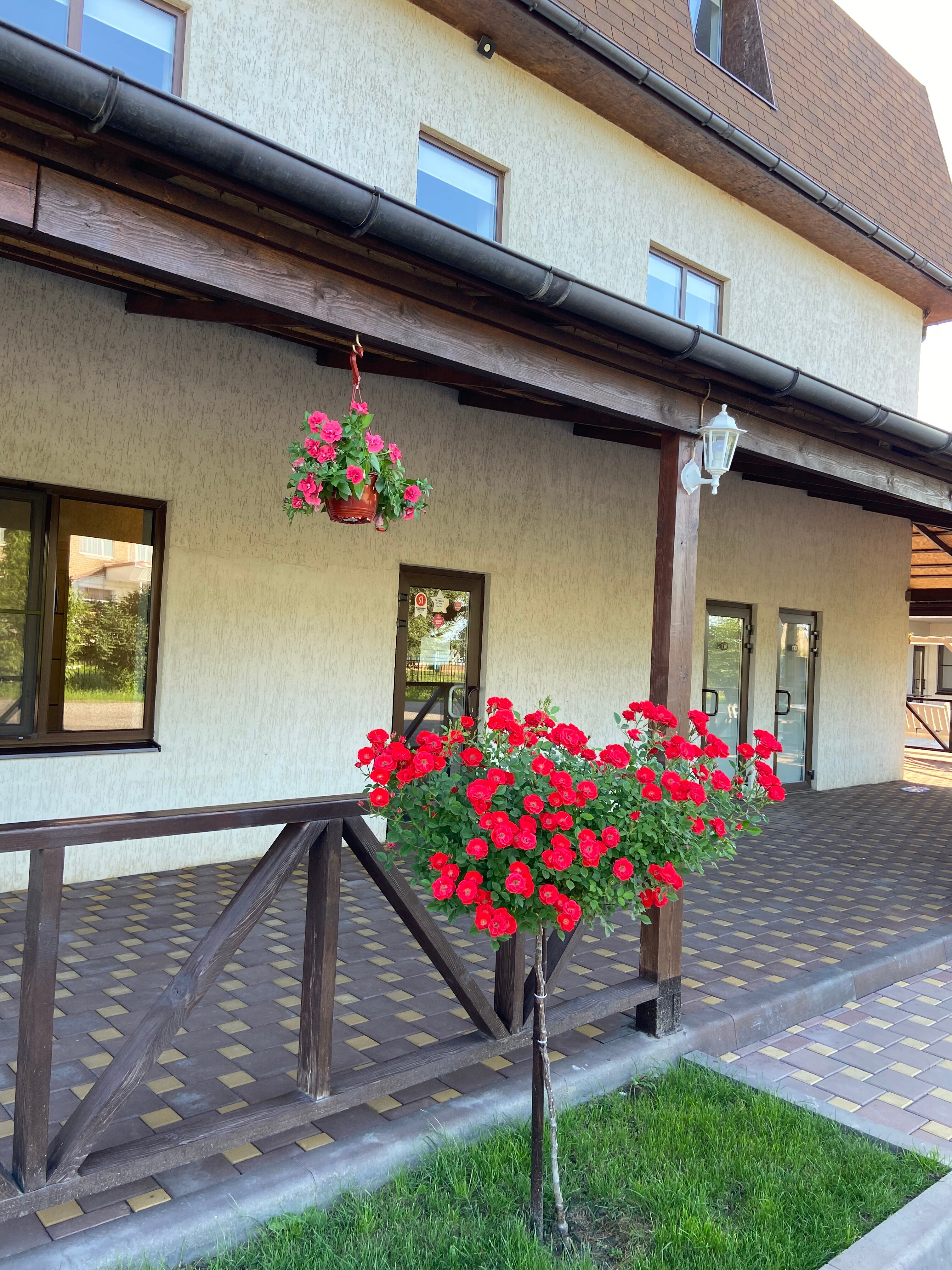 Фото Бургомистр