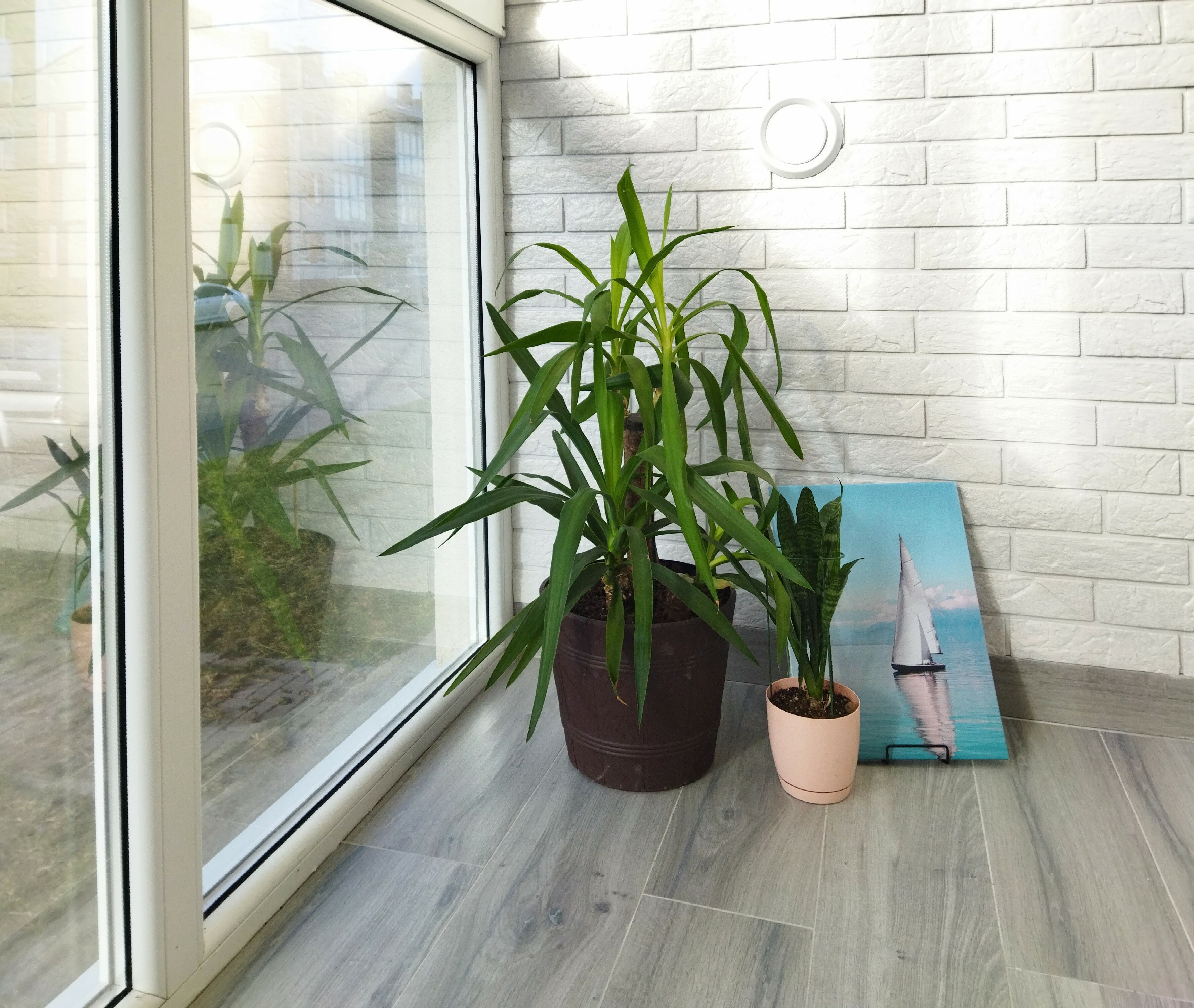 Фото Стоп. Снято!