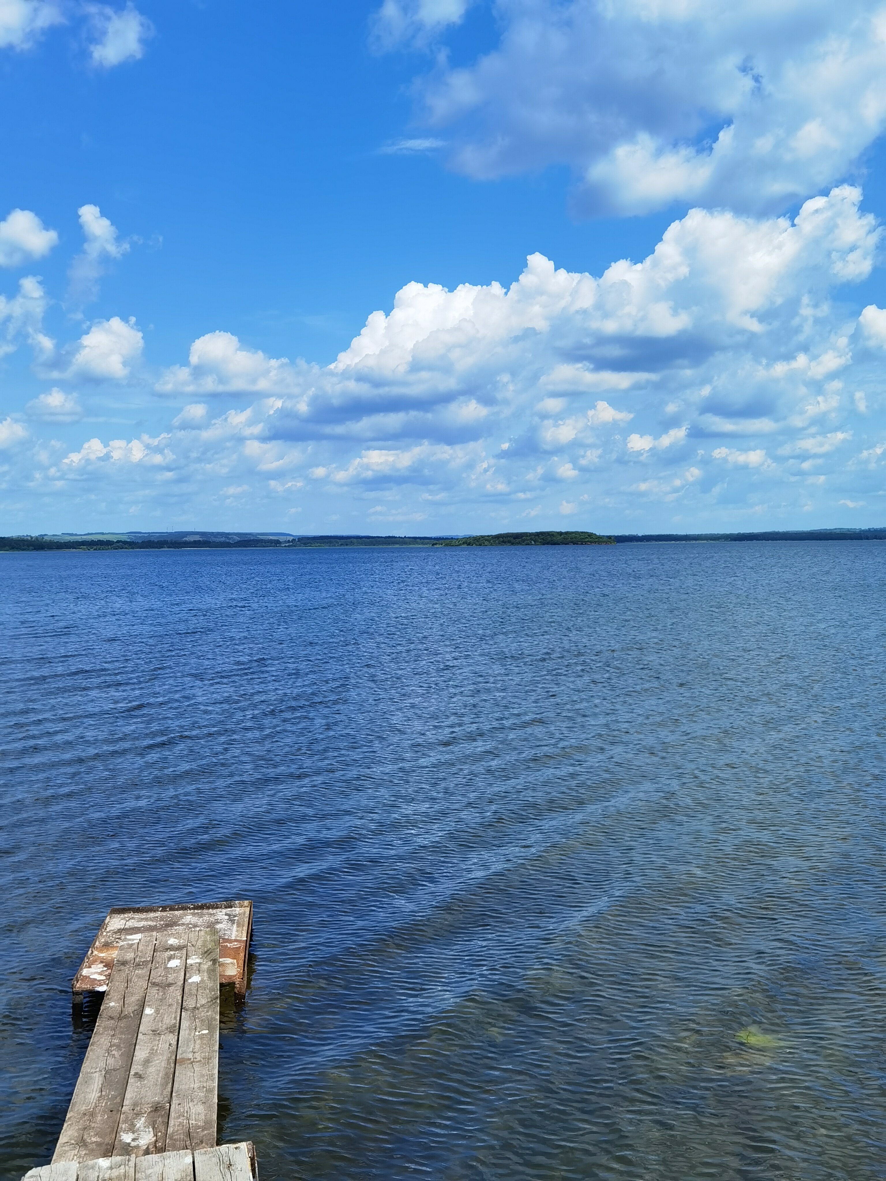 Фото Берёзка Кандрыкуль