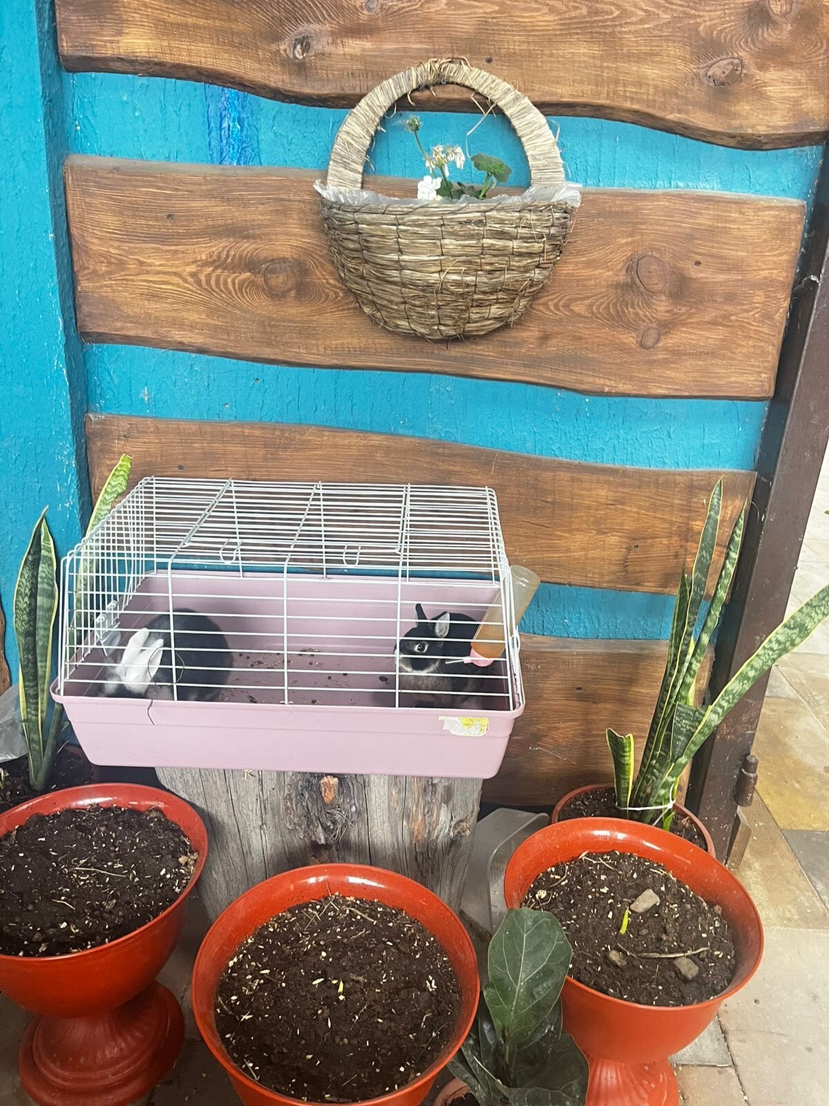 Фото Белый замок