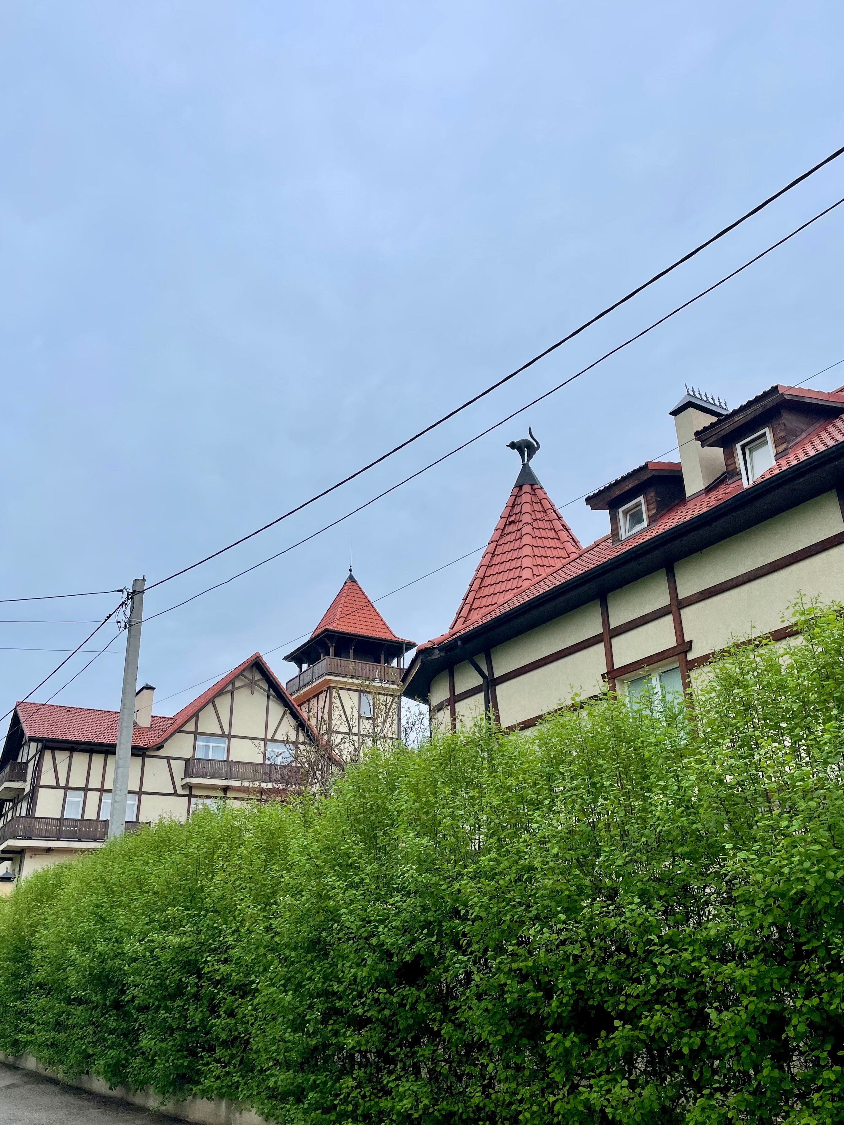 Фото Кошкин дом