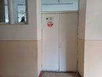 The Fox Club (Yangihayot District, Yoʻldosh dahasi, M2 mavzesi, 18), educational center