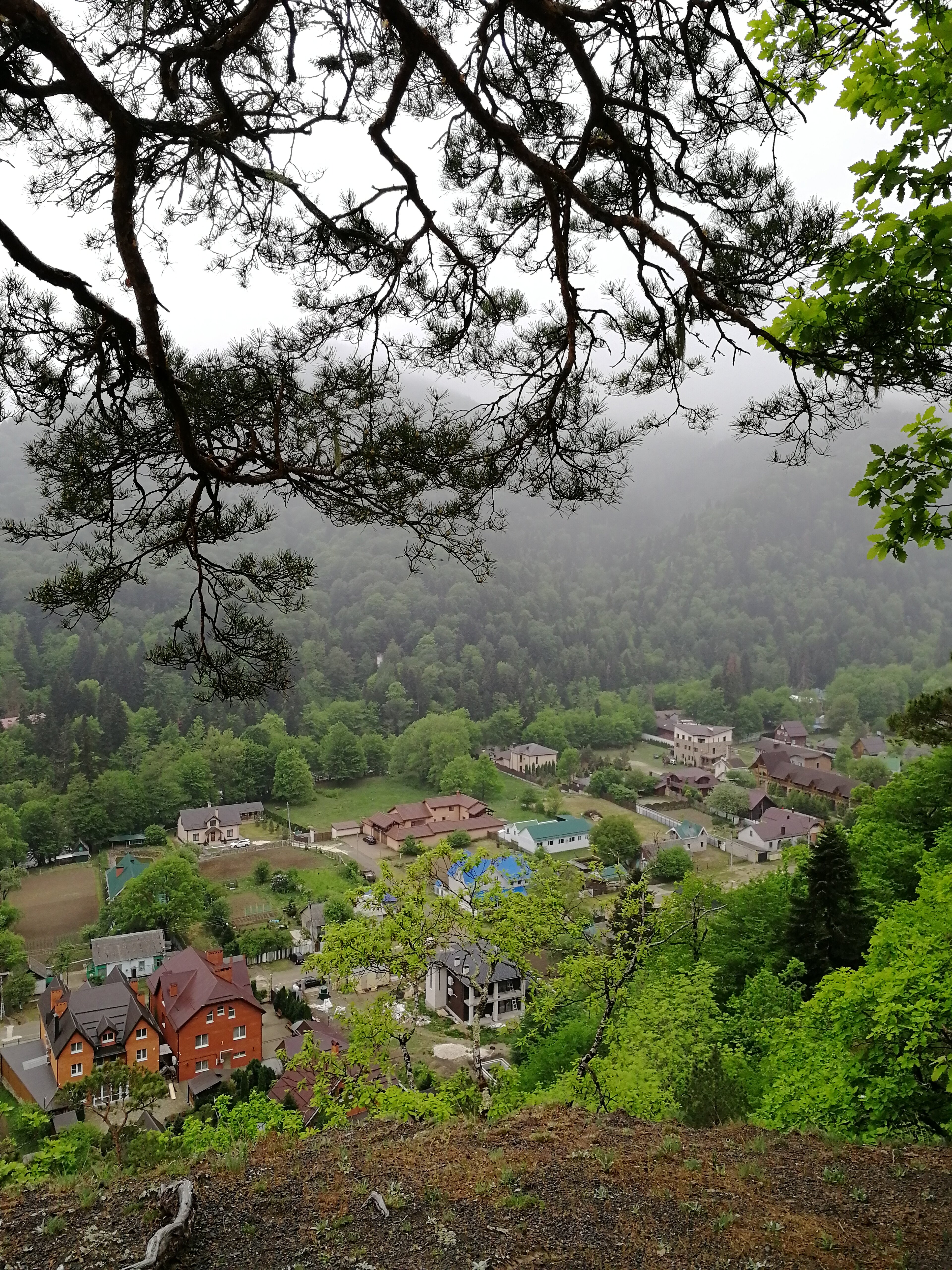 Фото Усадьба Трикиди