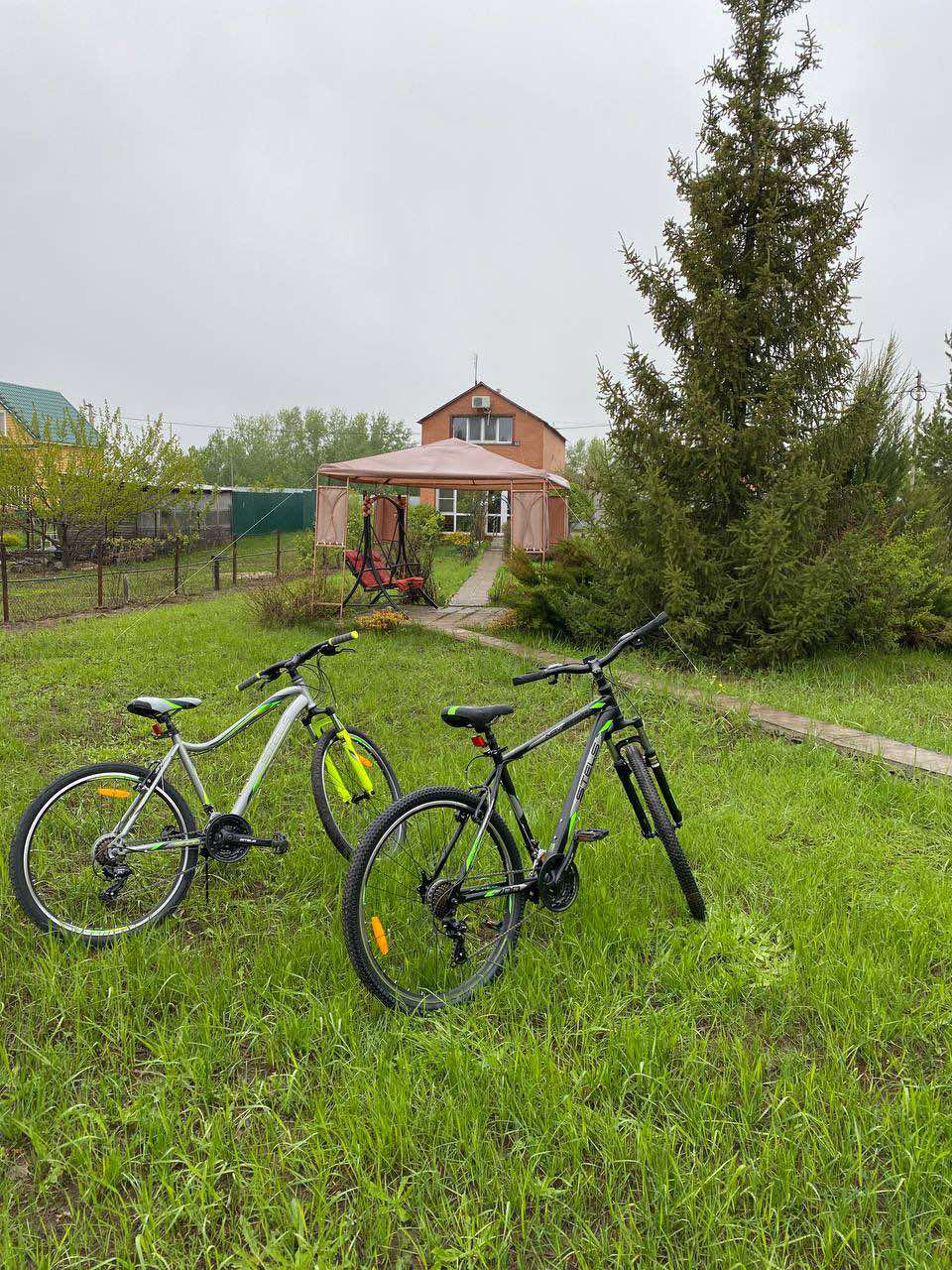 Фото Елховый берег