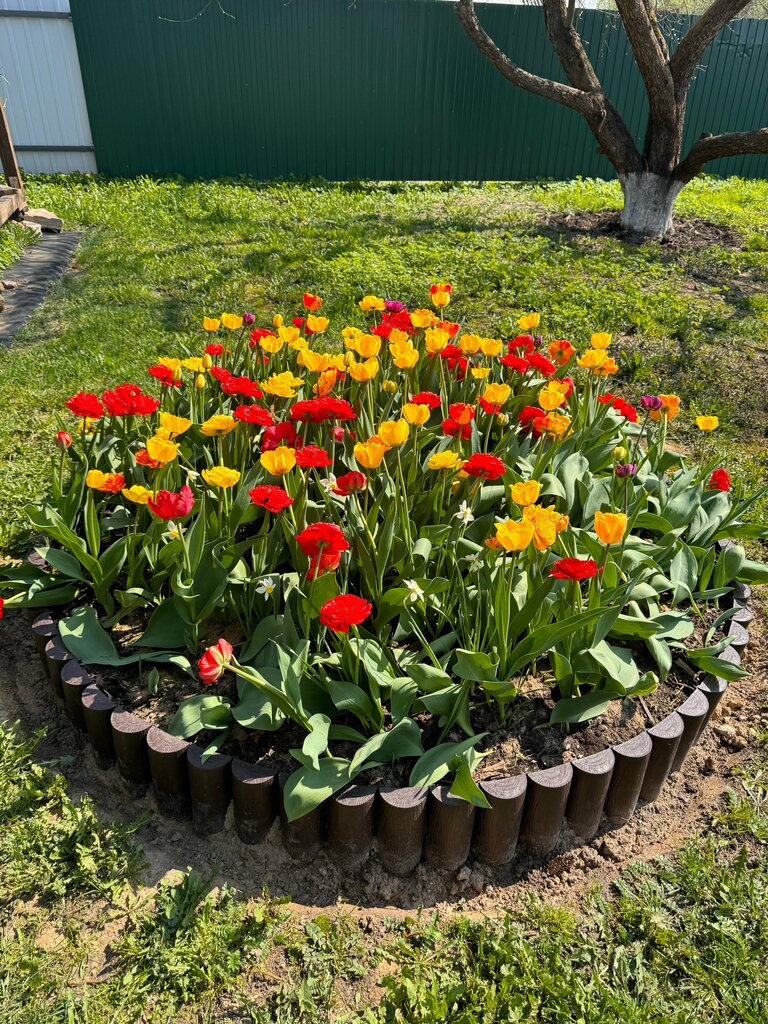 Landmark, attraction Shunzhenmen, Beijing, photo