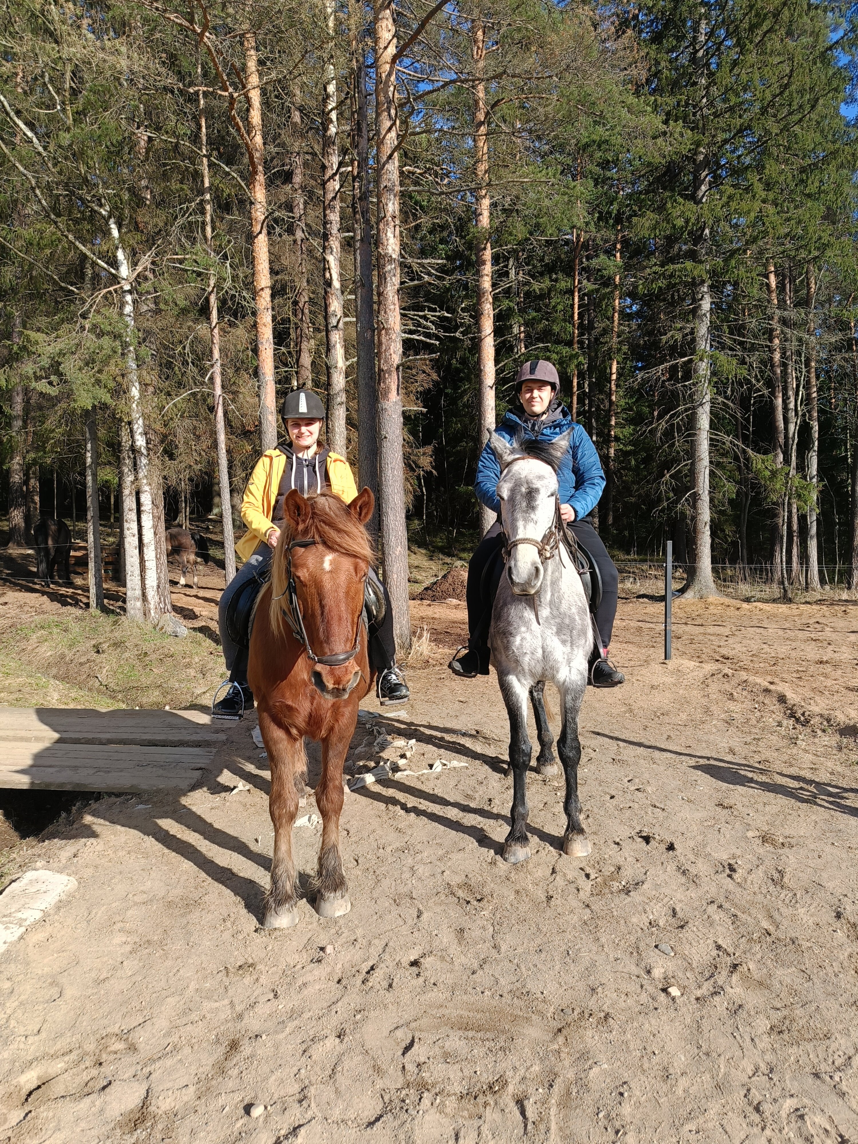Фото Конюшенный двор