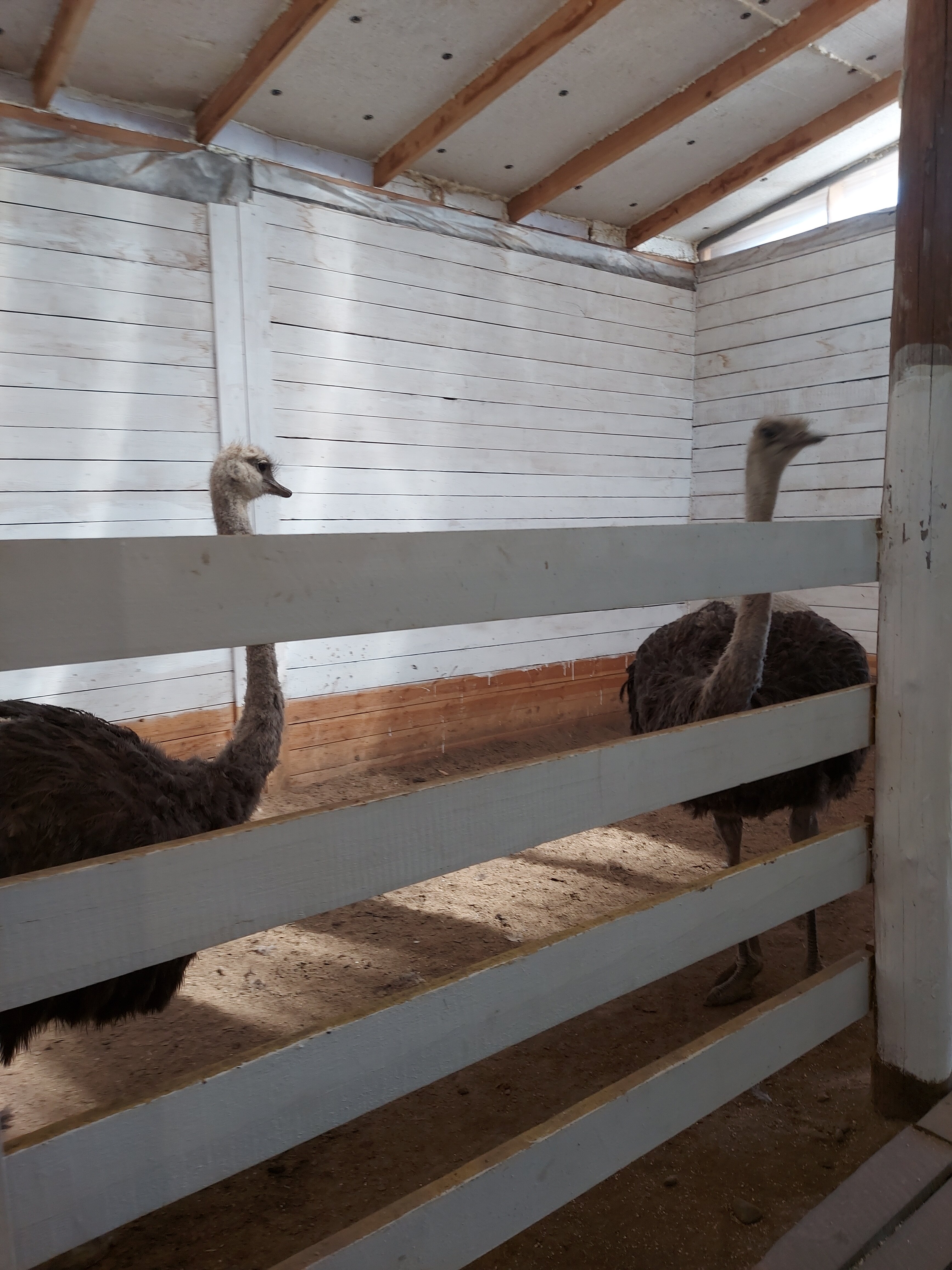 Фото Энергетик