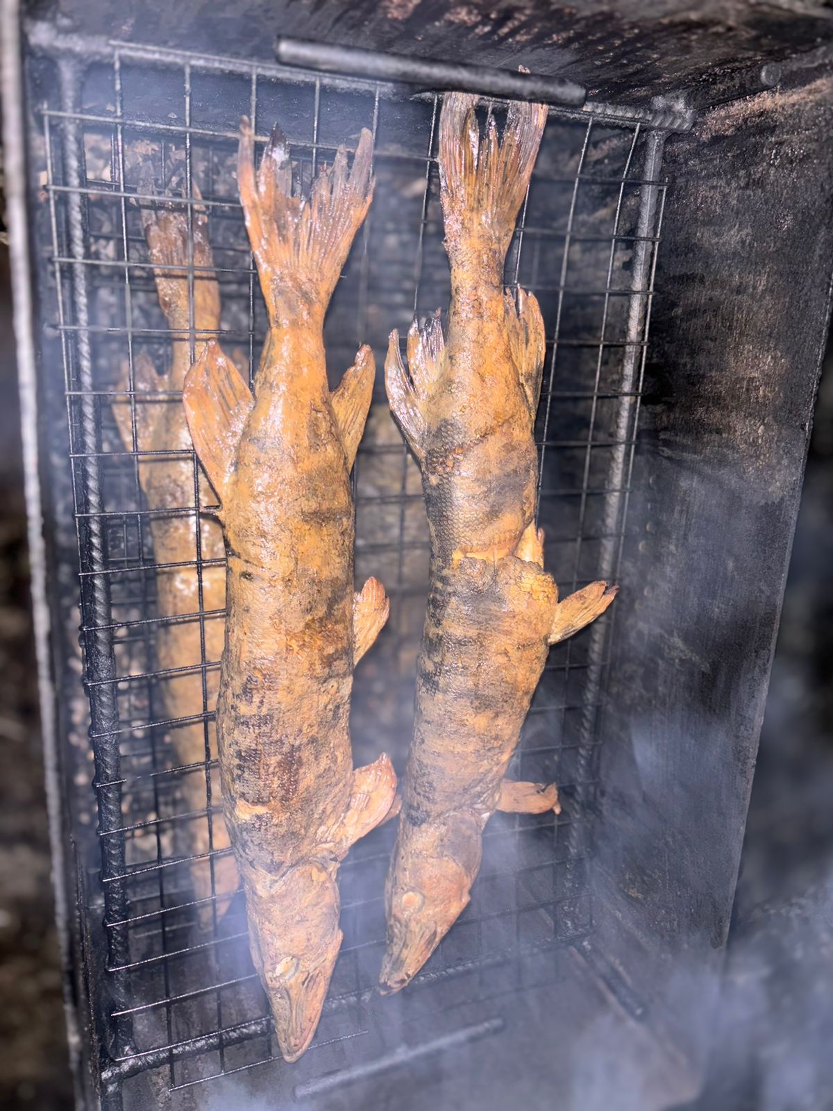 Фото Лахта&Ярви