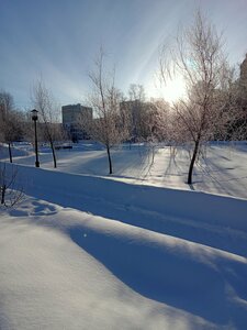 Park kultury i otdykha imeni 60-letiya Oktyabrya (Moscow, Bogdanova Street), park