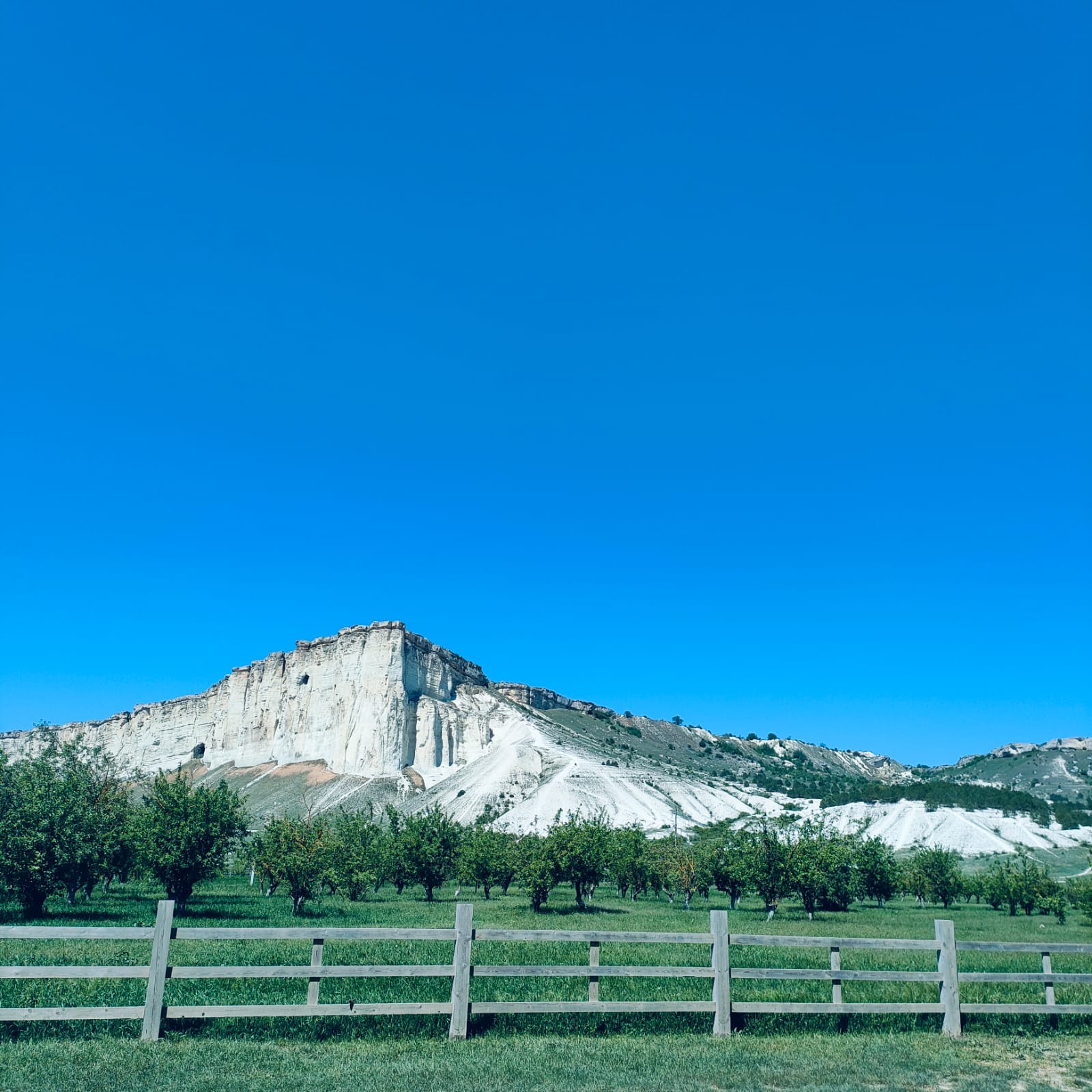 Фото Ковбой