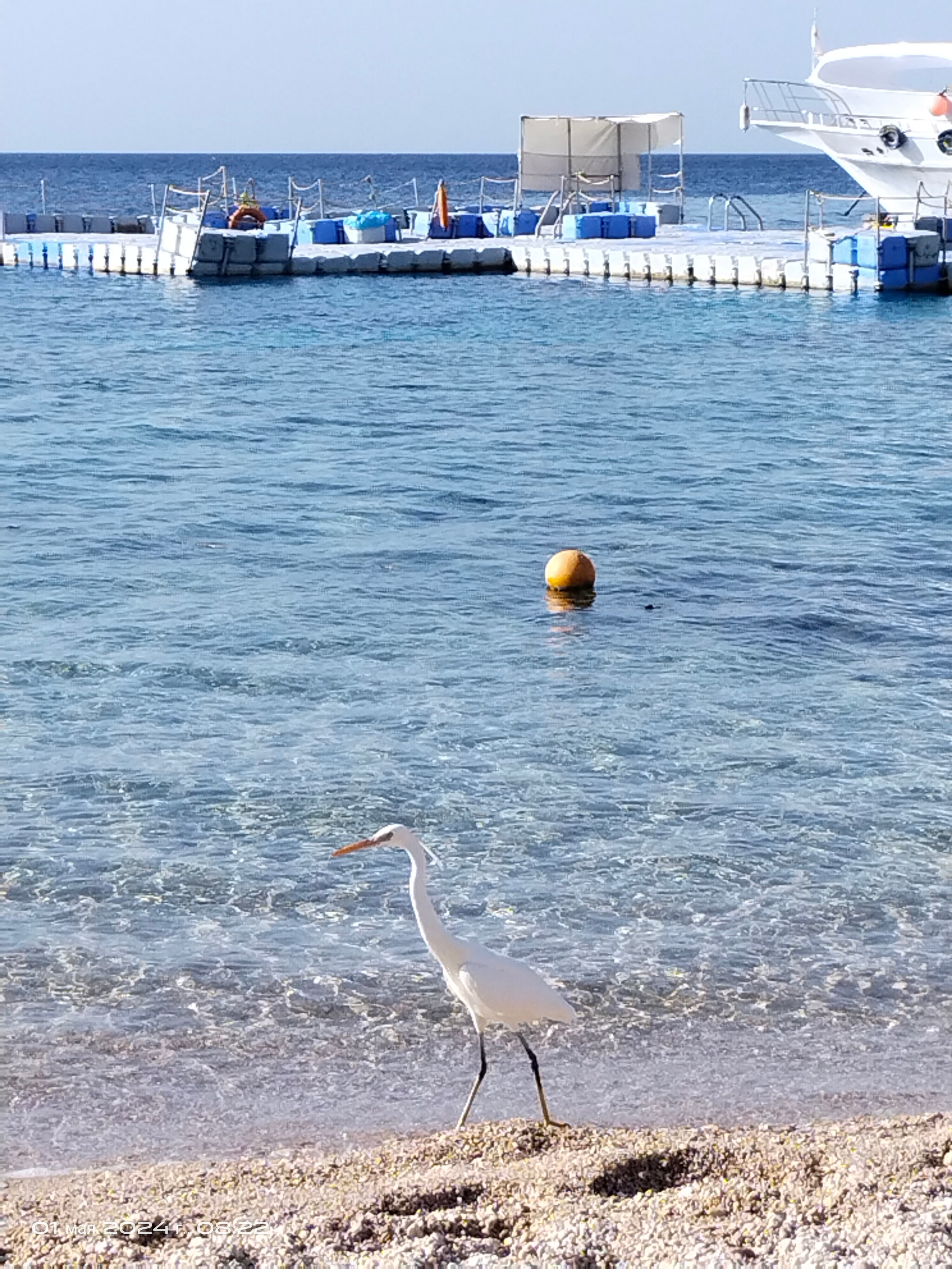 Фото Domina Coral Bay Aquamarine