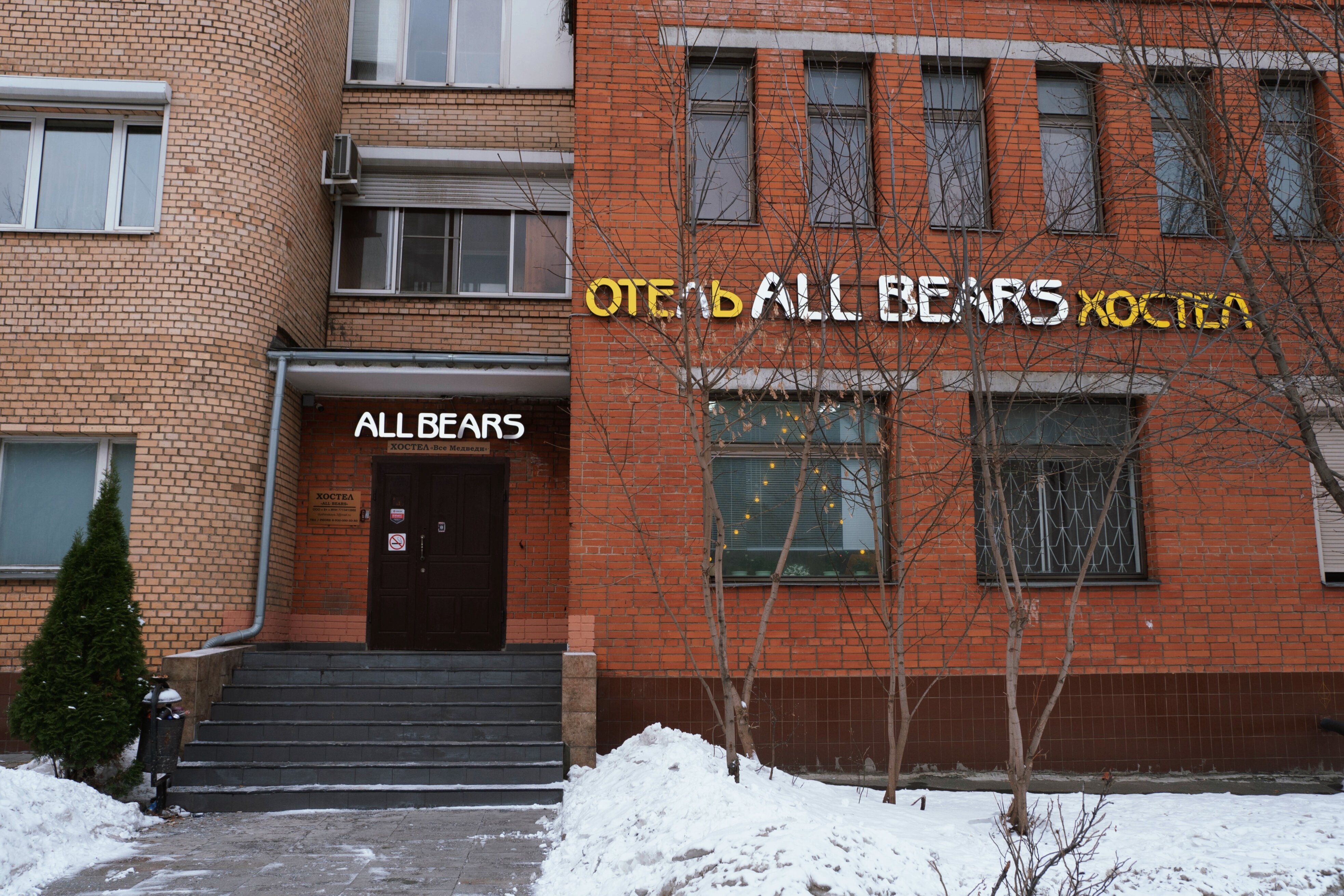 Фото Все медведи