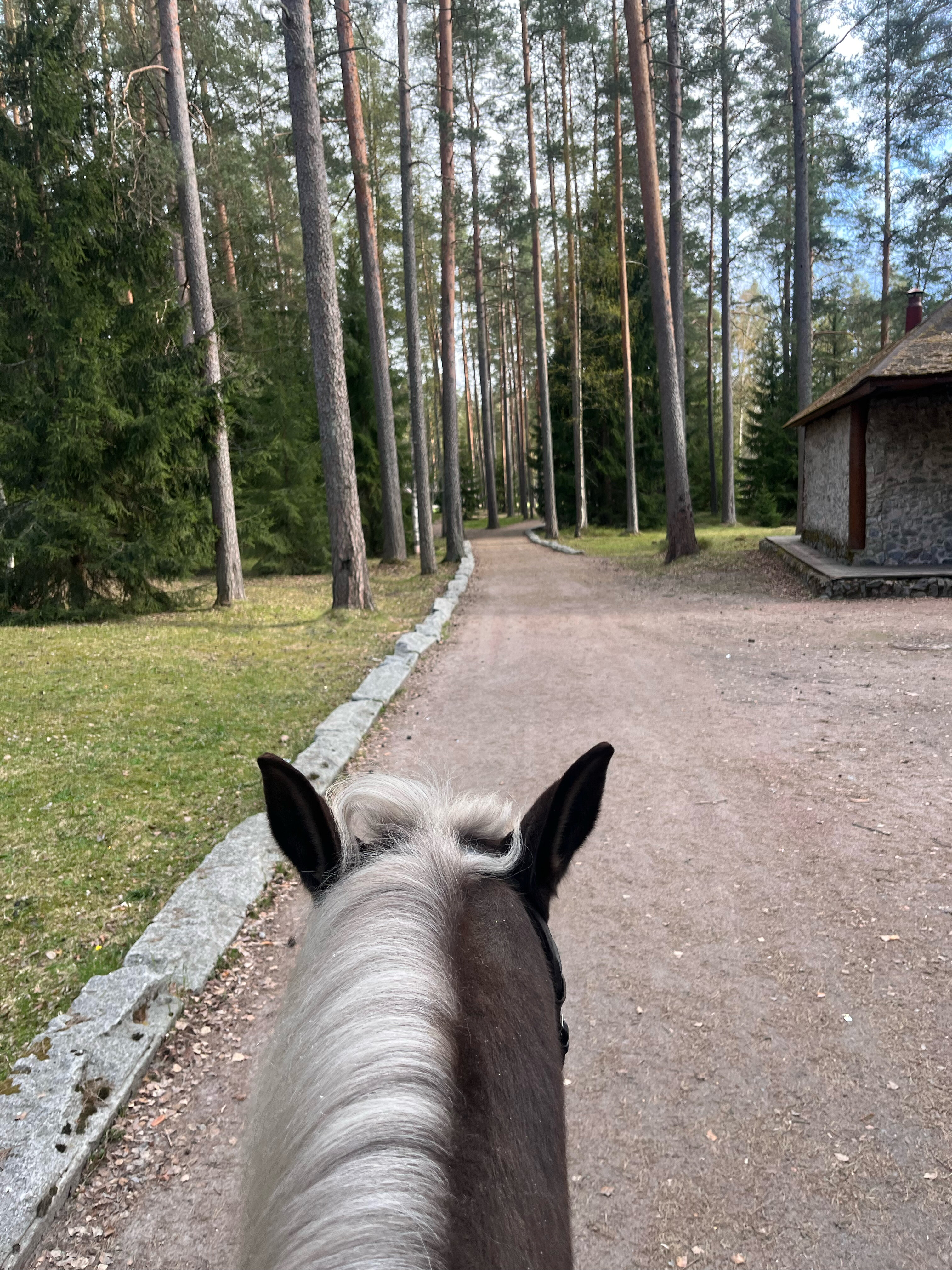 Фото Райвола