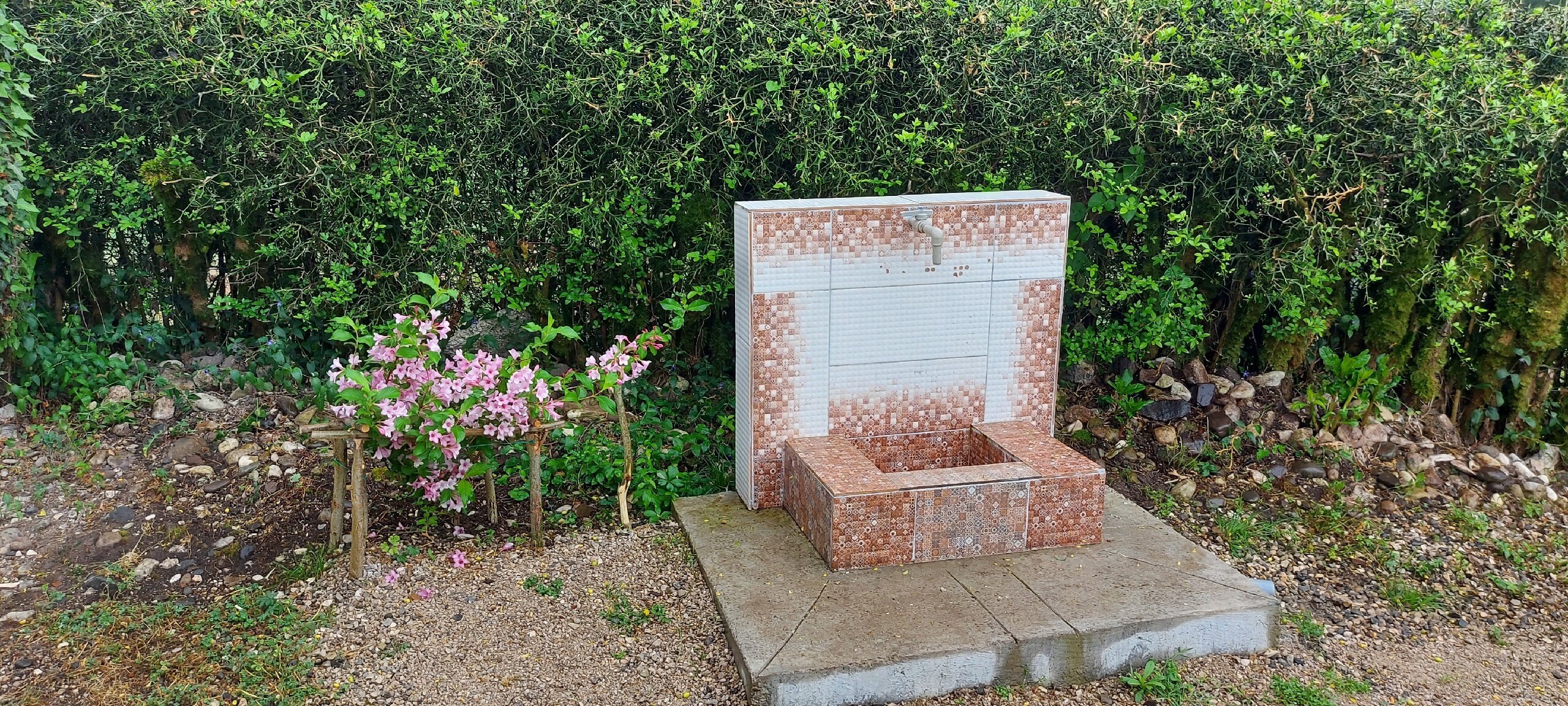 Фото Страна Души