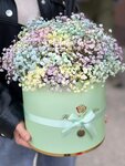 Цветы ViVa (derevnya Vyalki, Kooperativnaya ulitsa, 2Д), flower shop