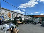 Sibirskie gazony (Kemerovo, bulvar imeni Akademika Leonida Semyonovicha Barbarasha, 3Б), garden center