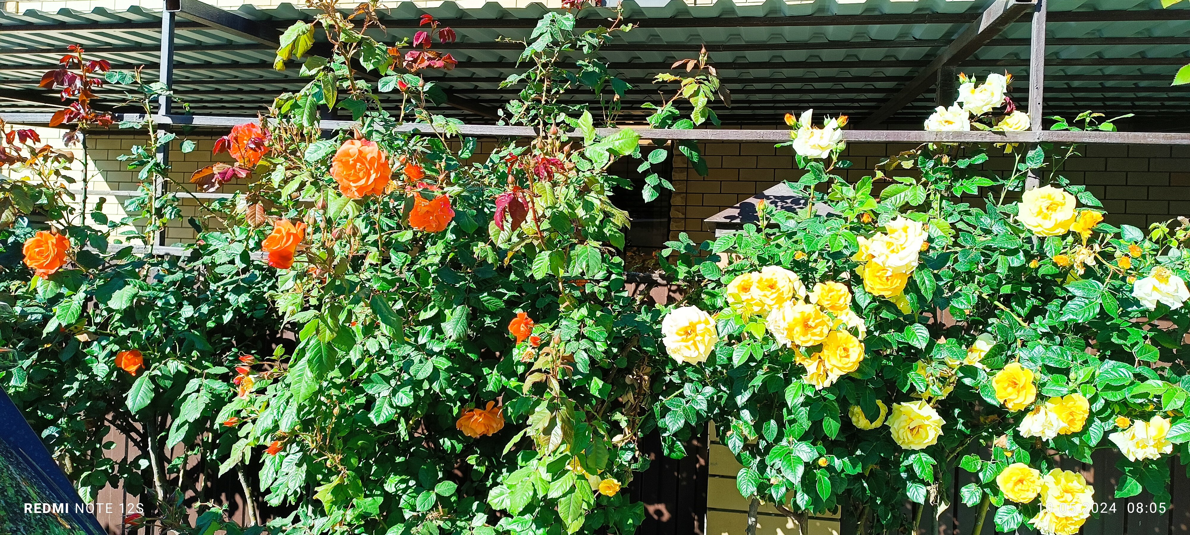 Фото Антипов