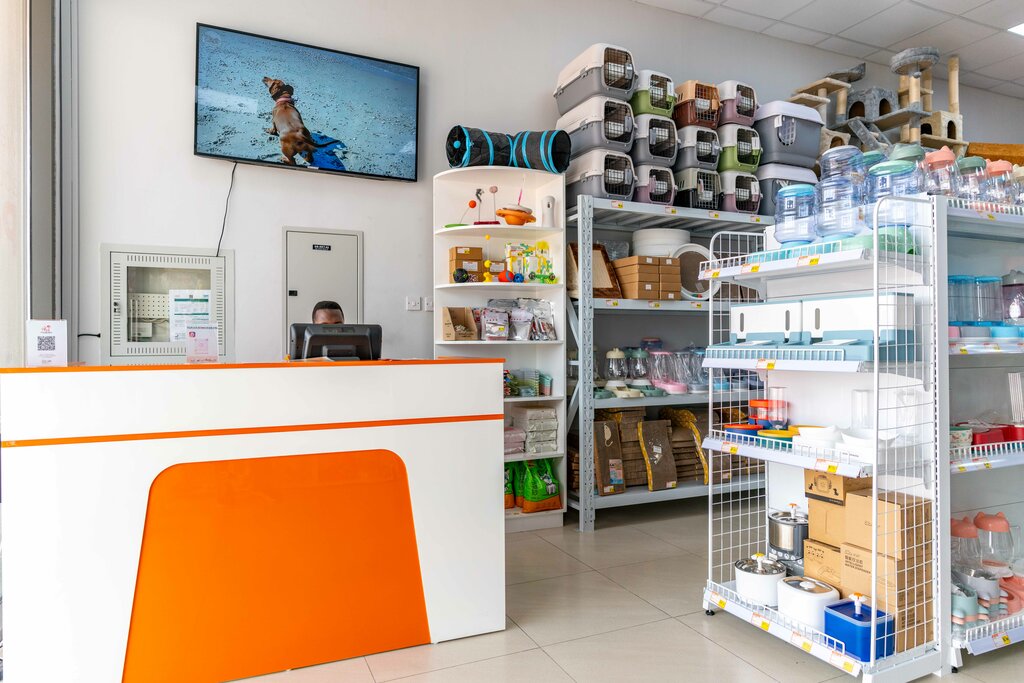 Pet salon Pawfection Domestic Pets Grooming, Dubai, photo