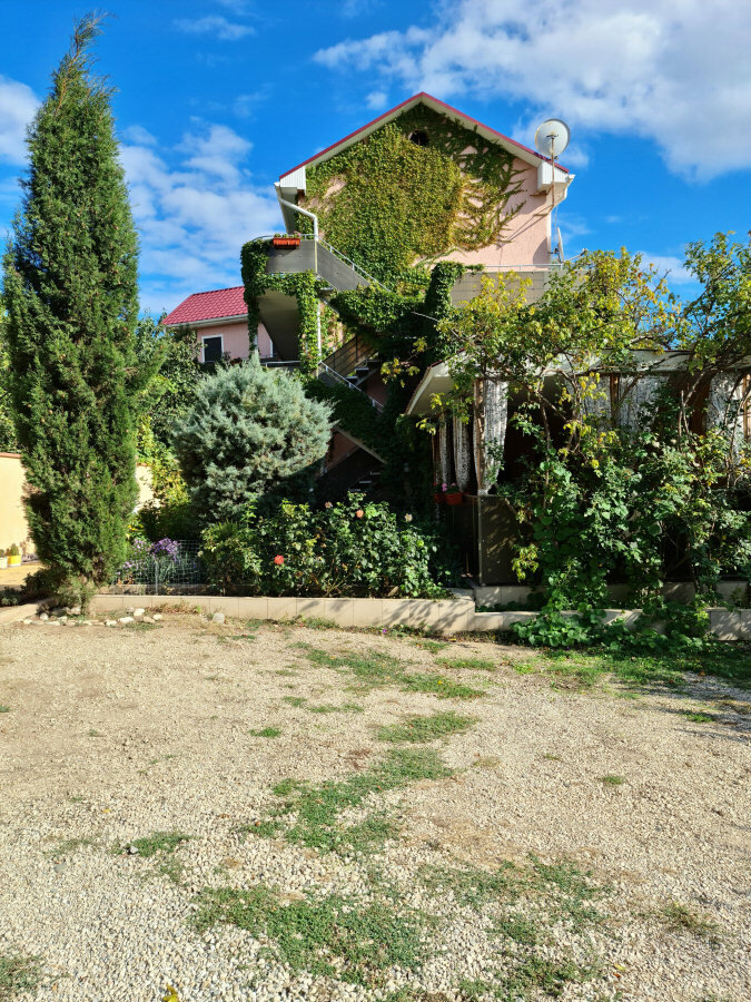 Фото Валента