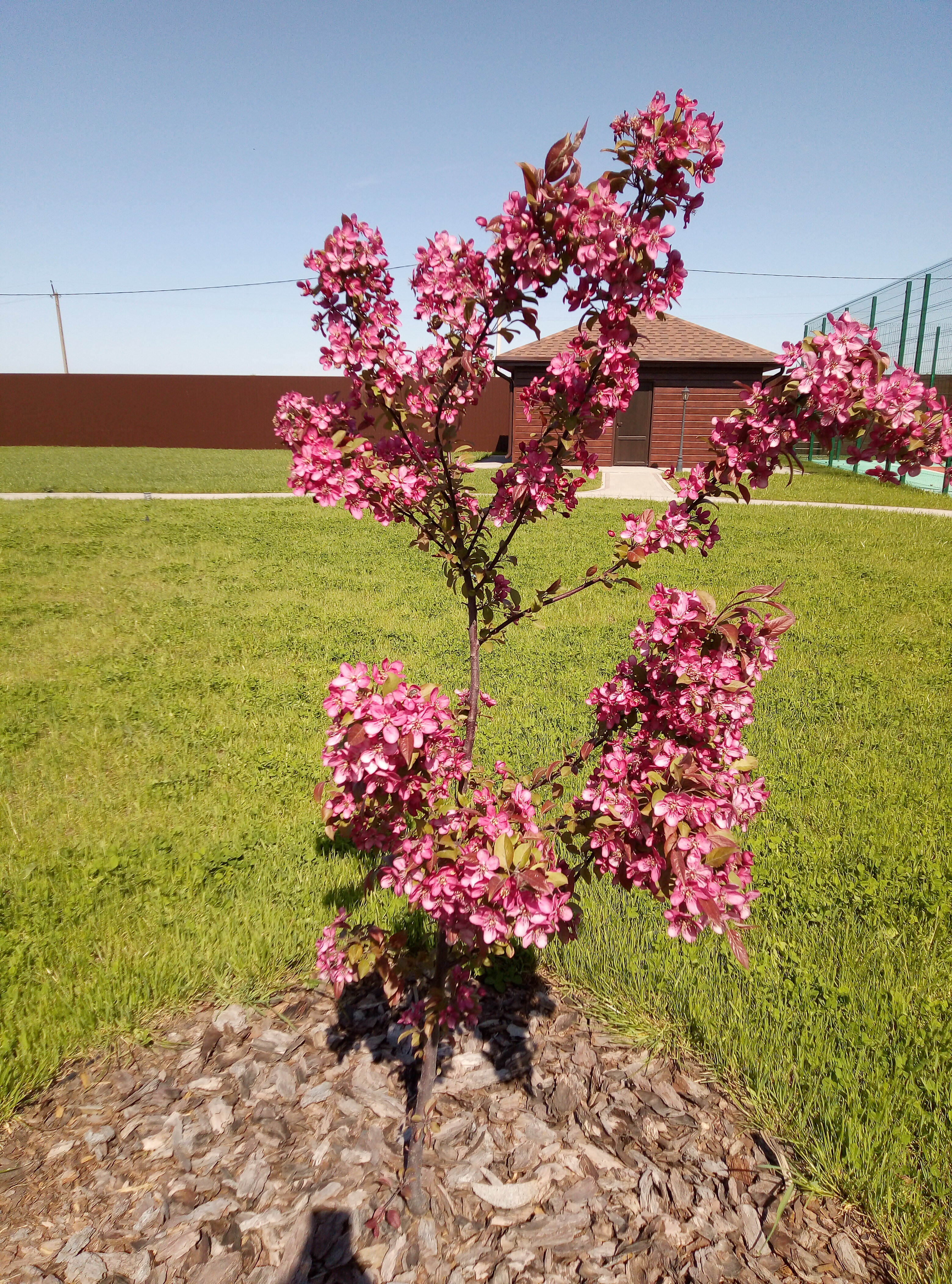 Фото Спектр