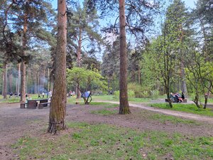 Жемчужина Новокосино (Moscow Region, Balashikha, Mirskoy proyezd), urban forest