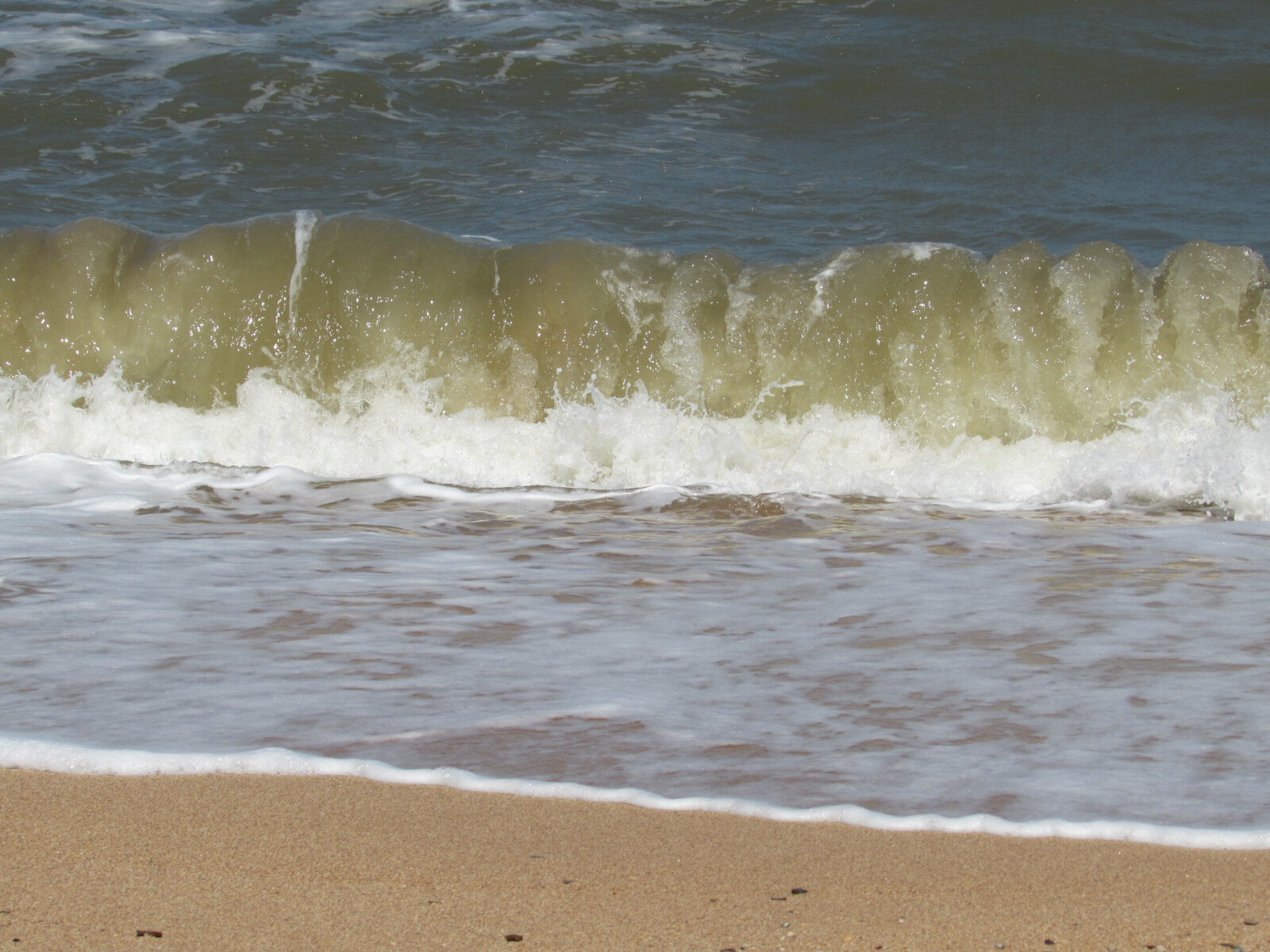 Фото Добрый хозяин