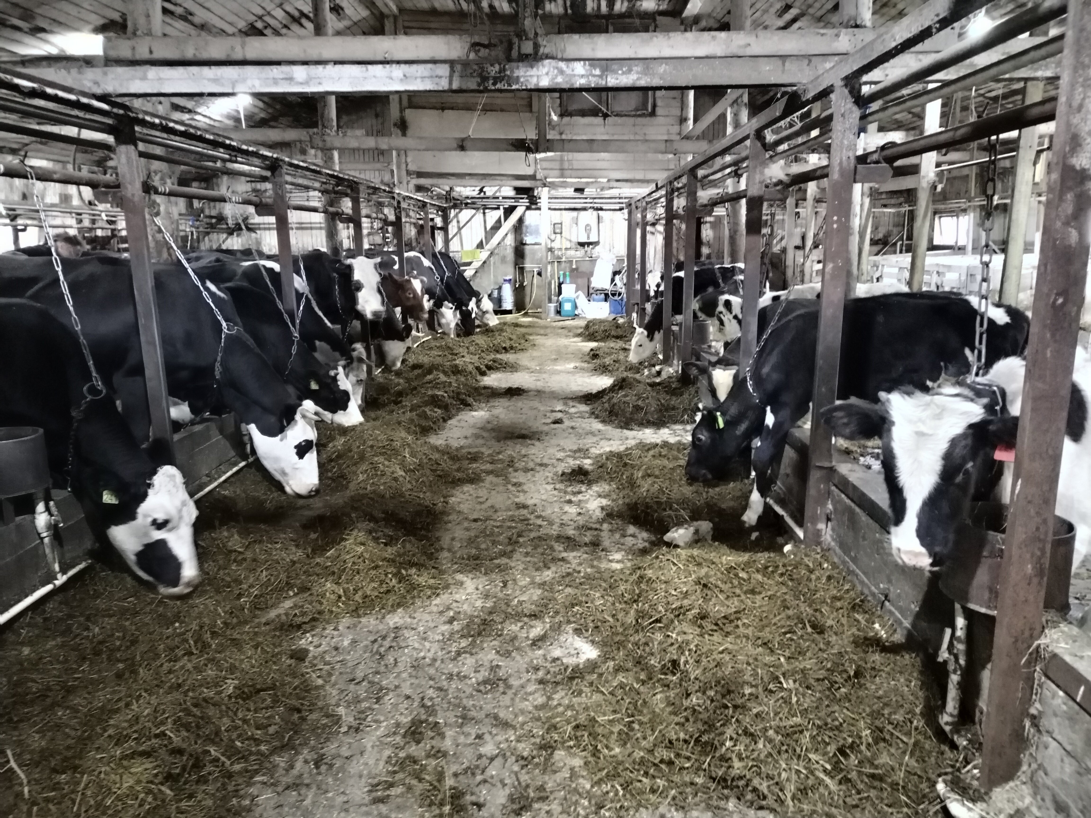 Фото Волжский фермер