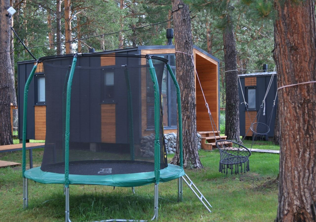 Фото Лес ДО небес