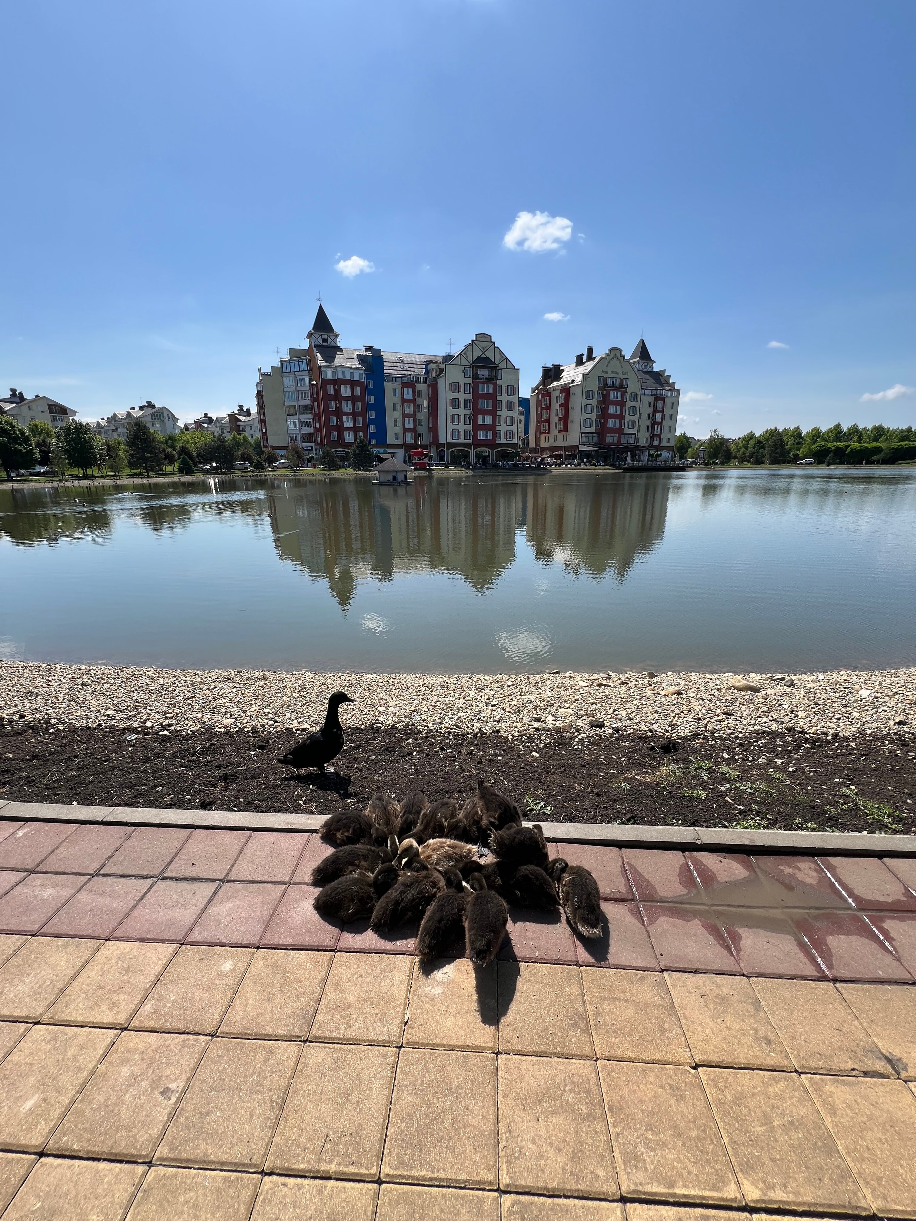 Фото Мюллер Бах