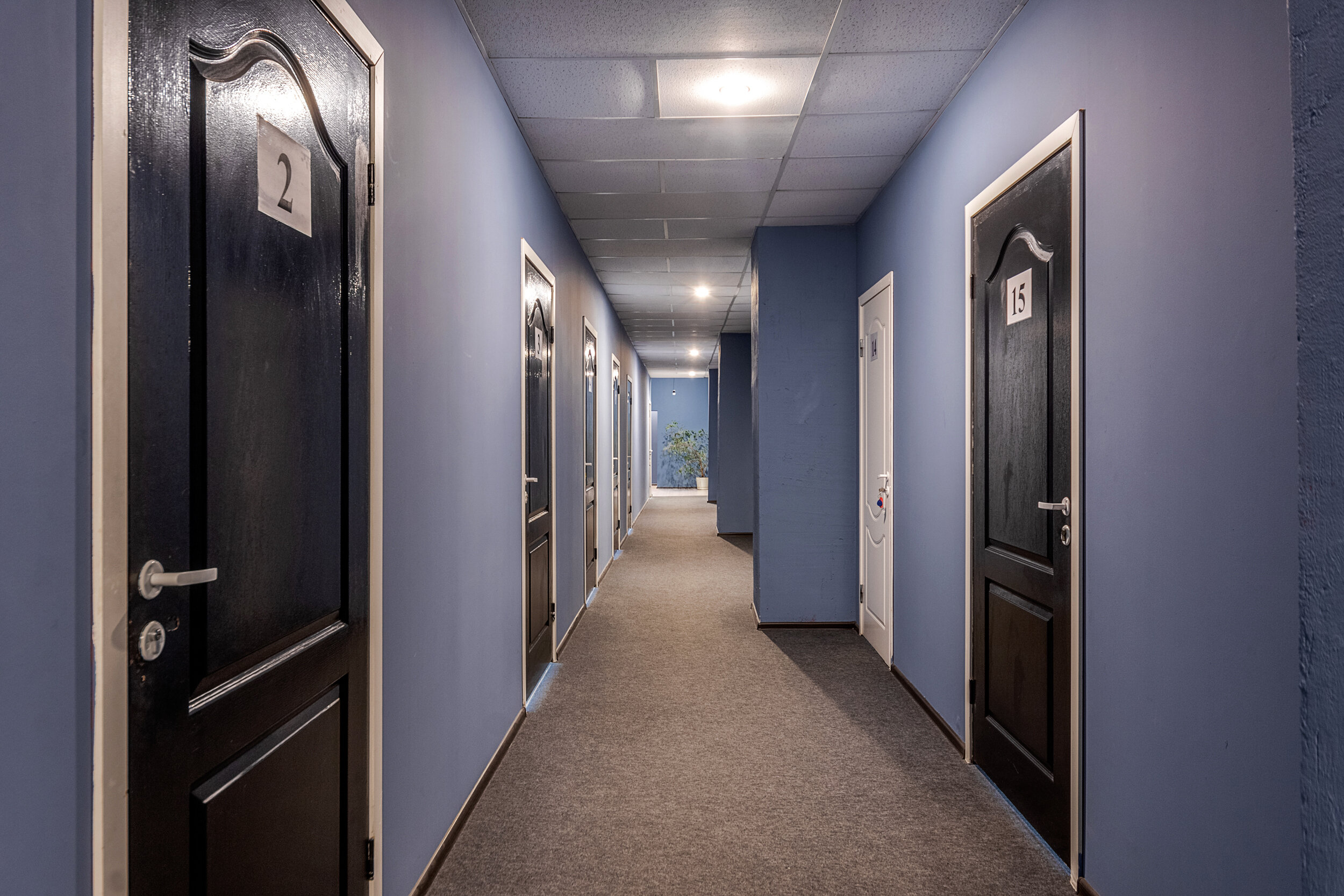 Фото Терраса 10л