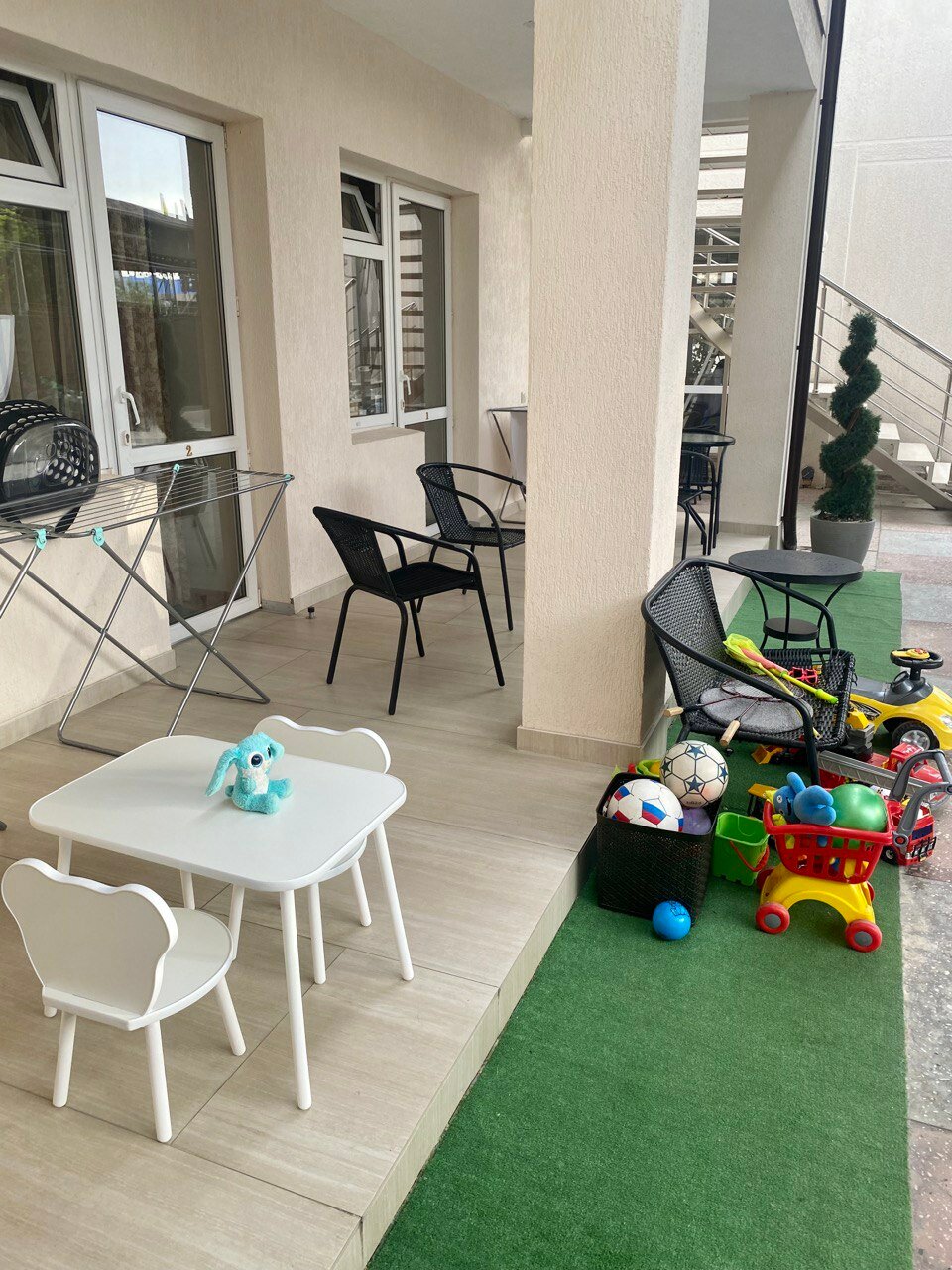 Фото Альбатрос