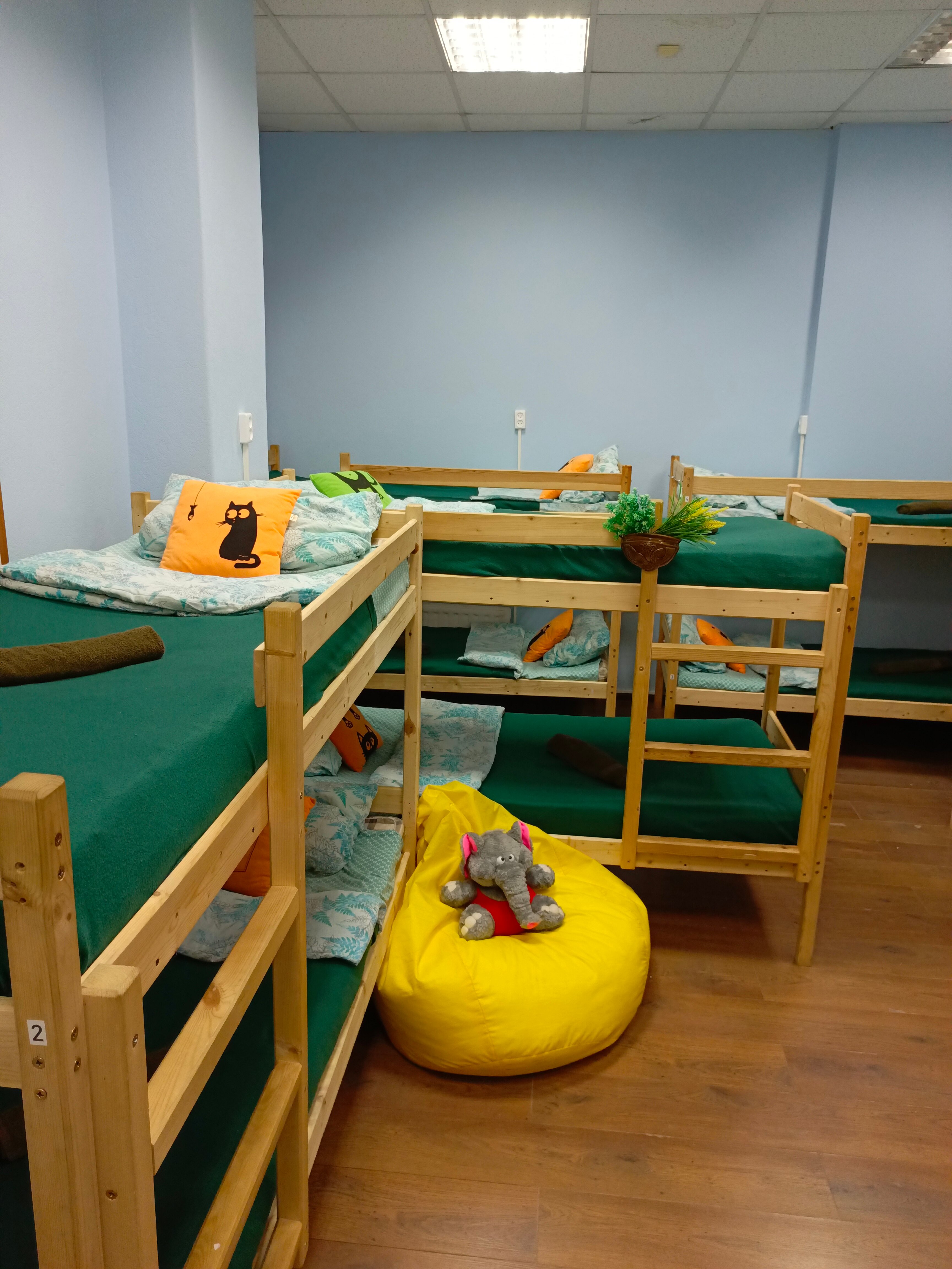 Фото Garden 22/2