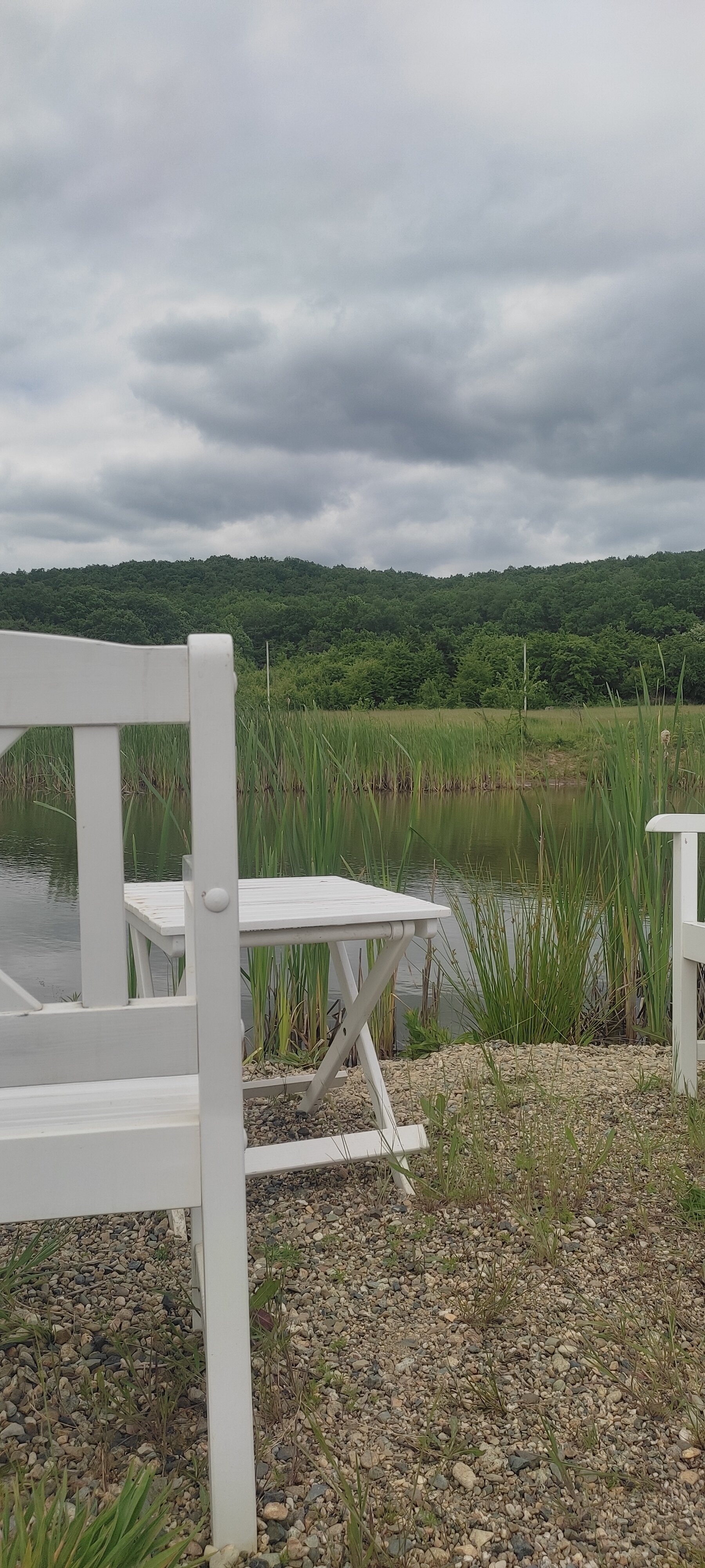 Фото Дубровский