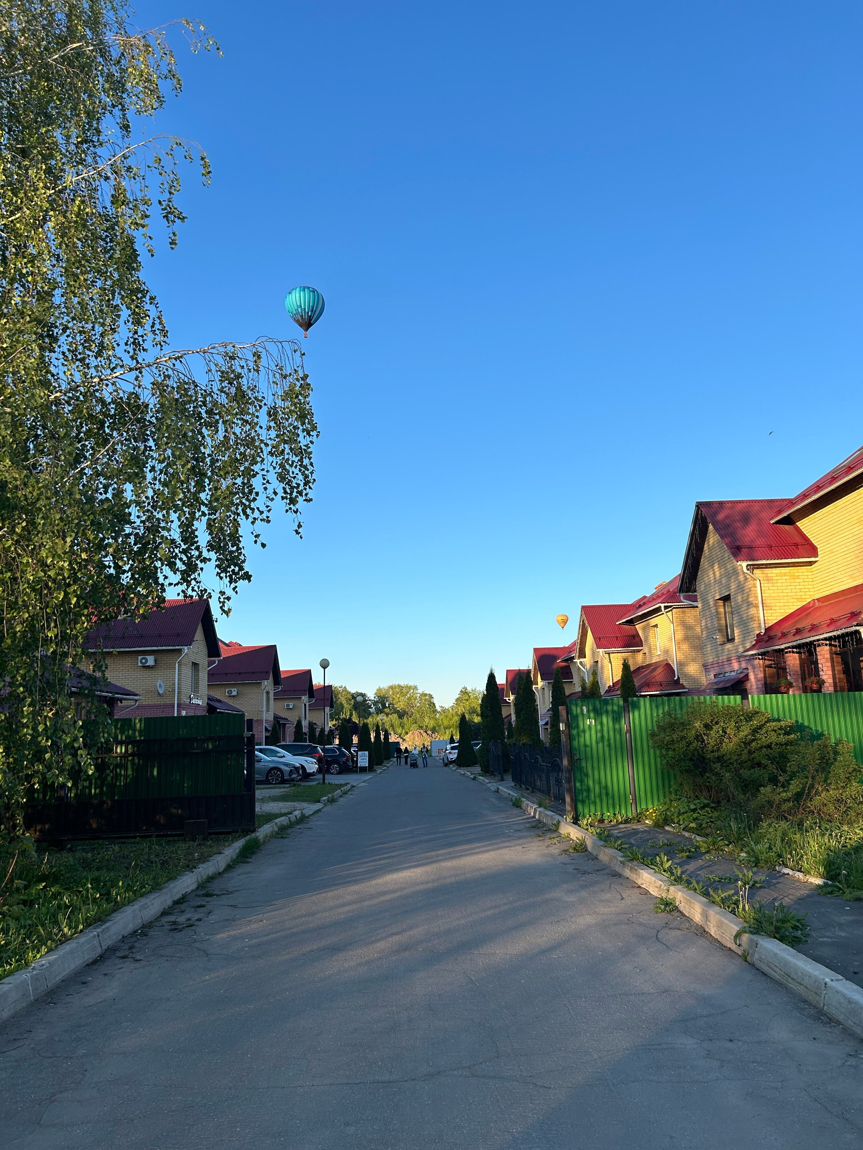 Фото Династия