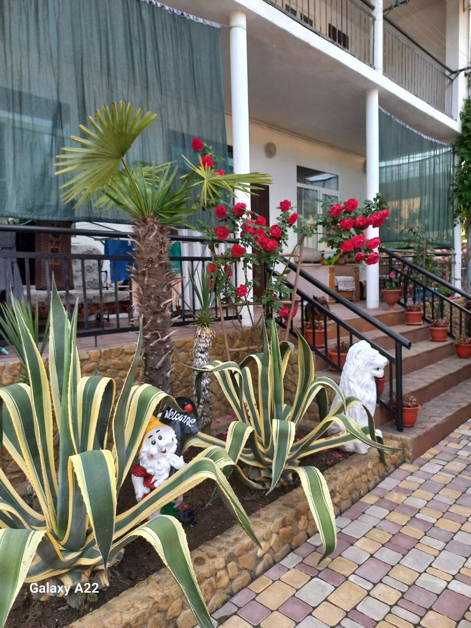 Фото Гостевой дом Мечта