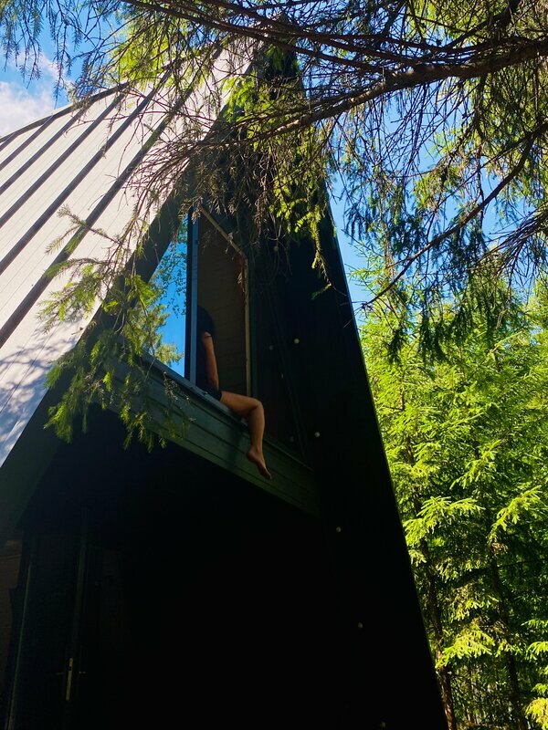 Фото Elki в Новожилово