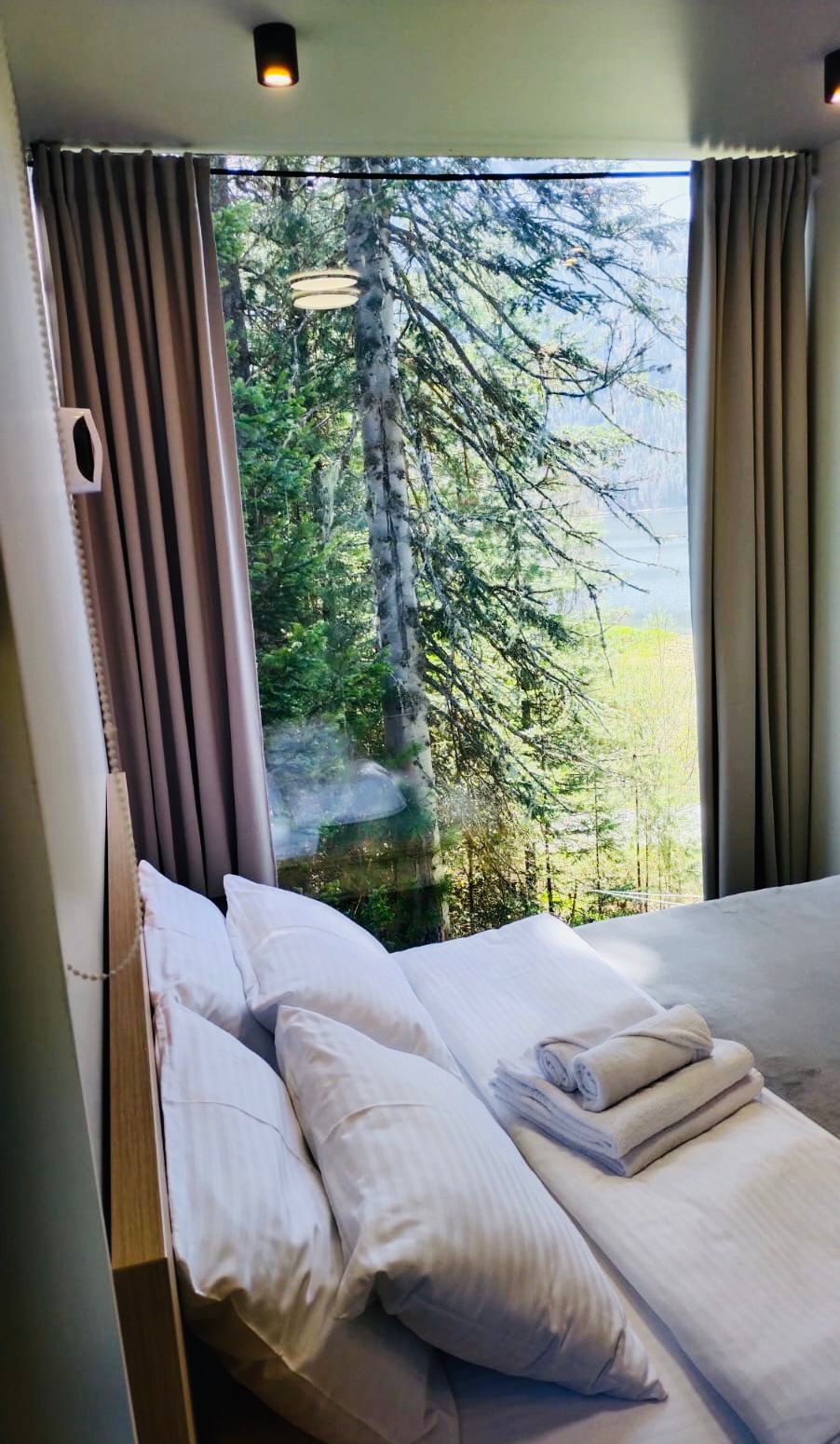 Фото Телецкое золотое