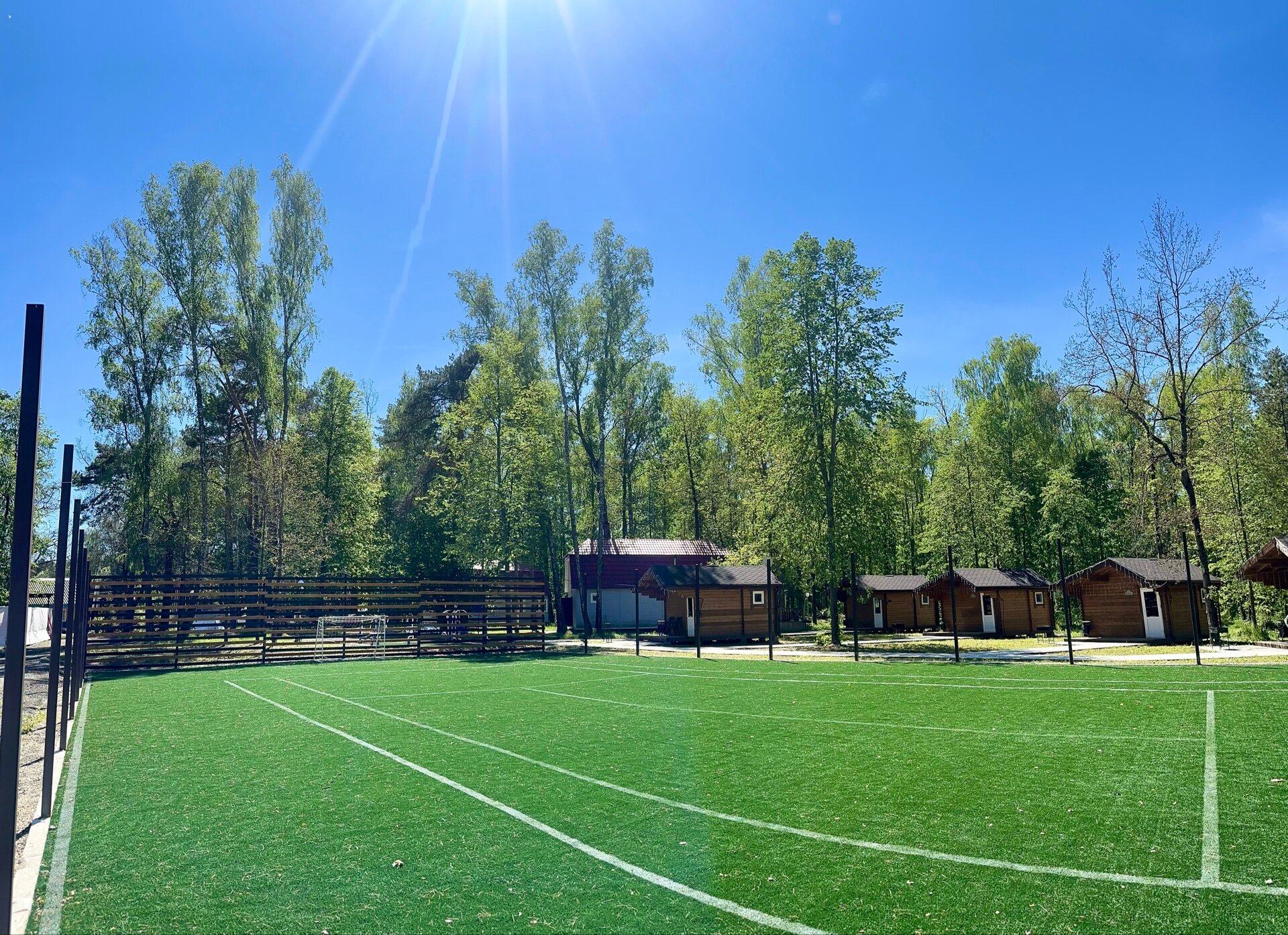 Фото Подберёзовик