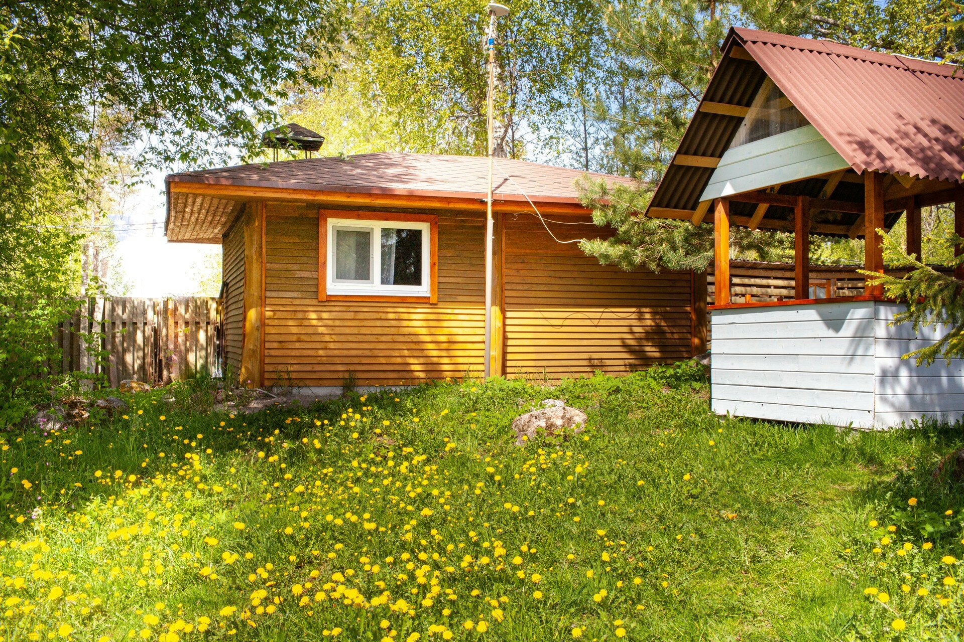 Фото Беличье