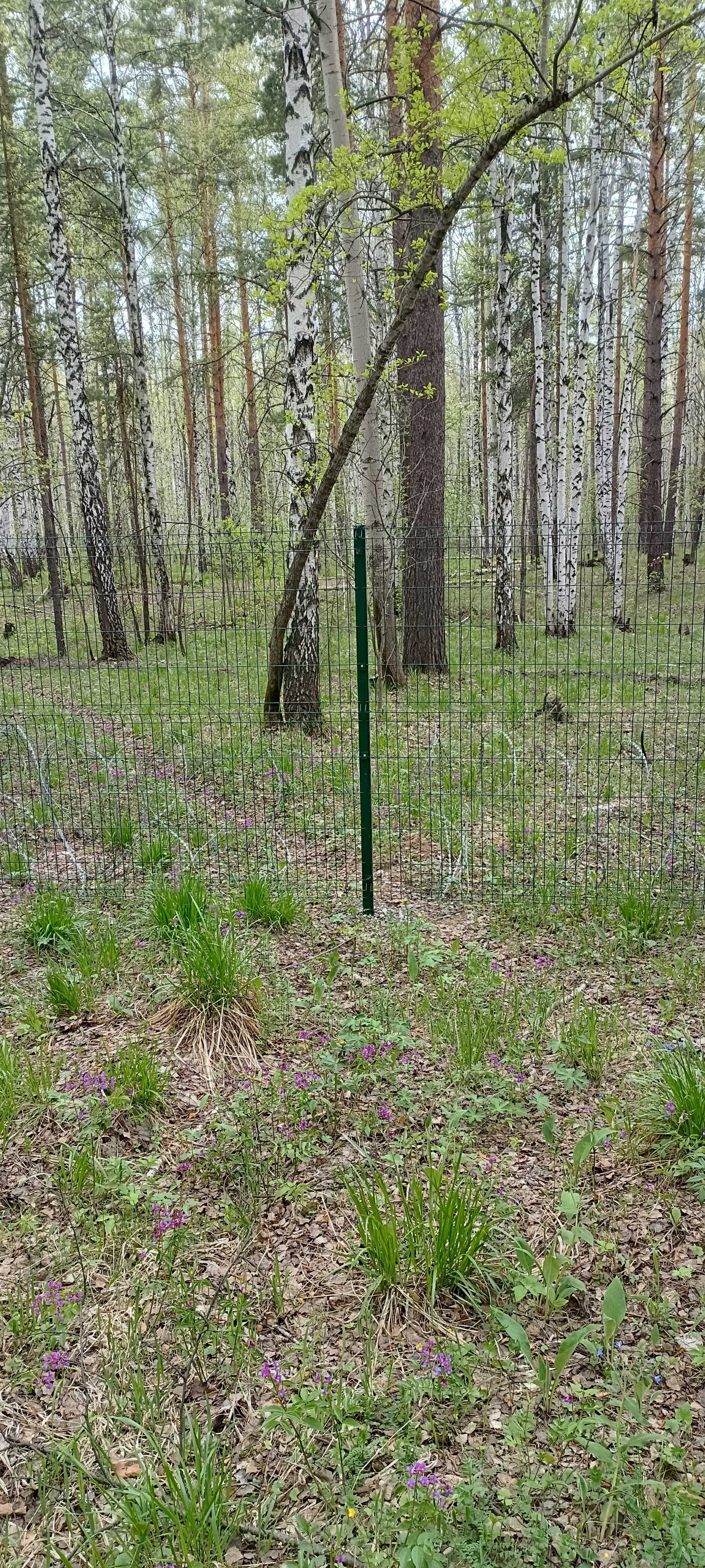 Фото Биатлон