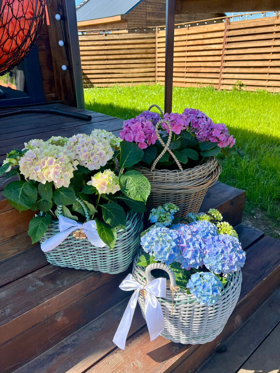 Фото Дом у реки