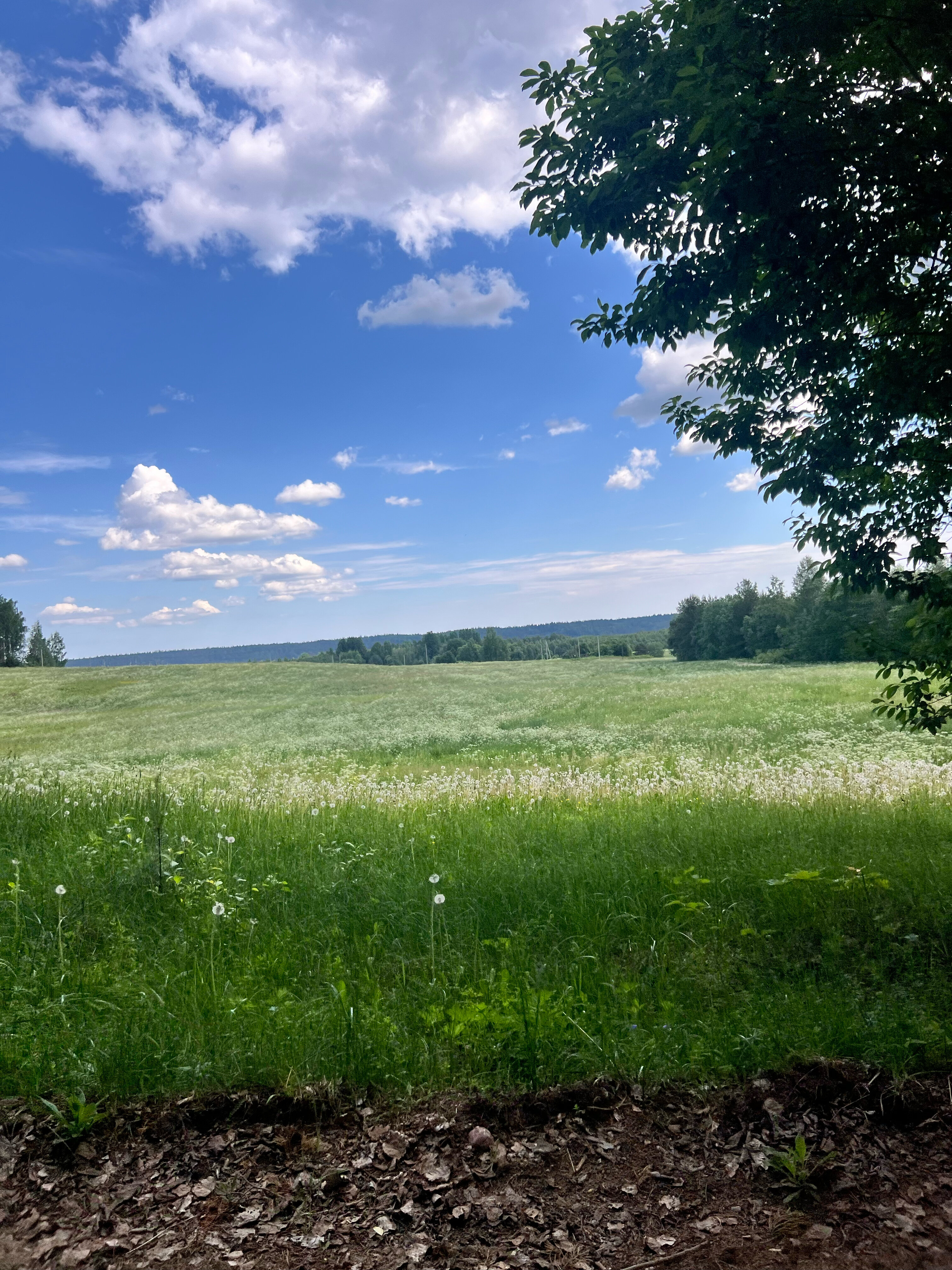 Фото Домики в поле