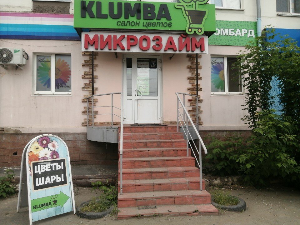 Микрозайм