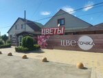 Цветочный магазин (ulitsa Gogolya, 85/3), flower shop