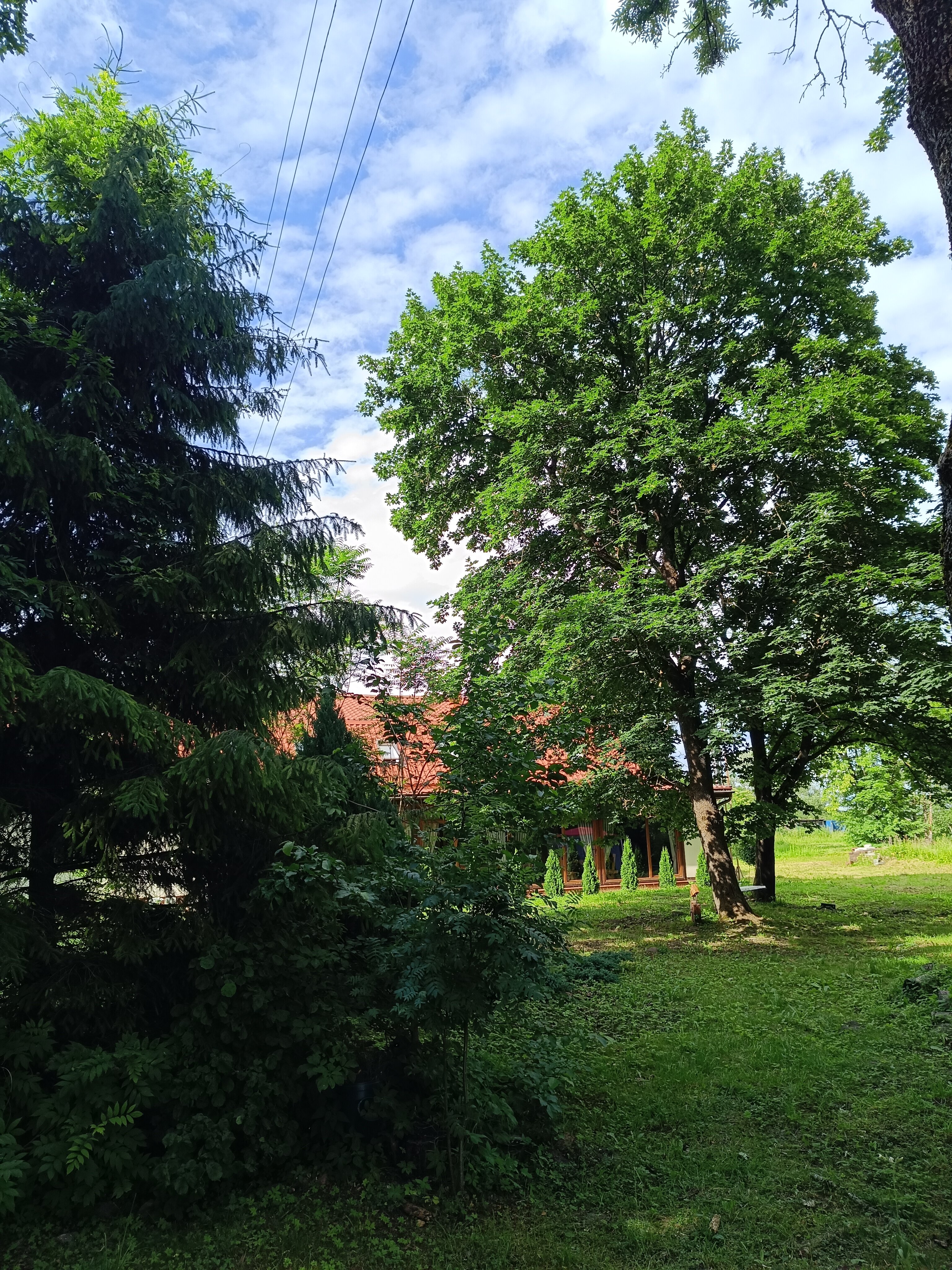 Фото Вальдхаузен