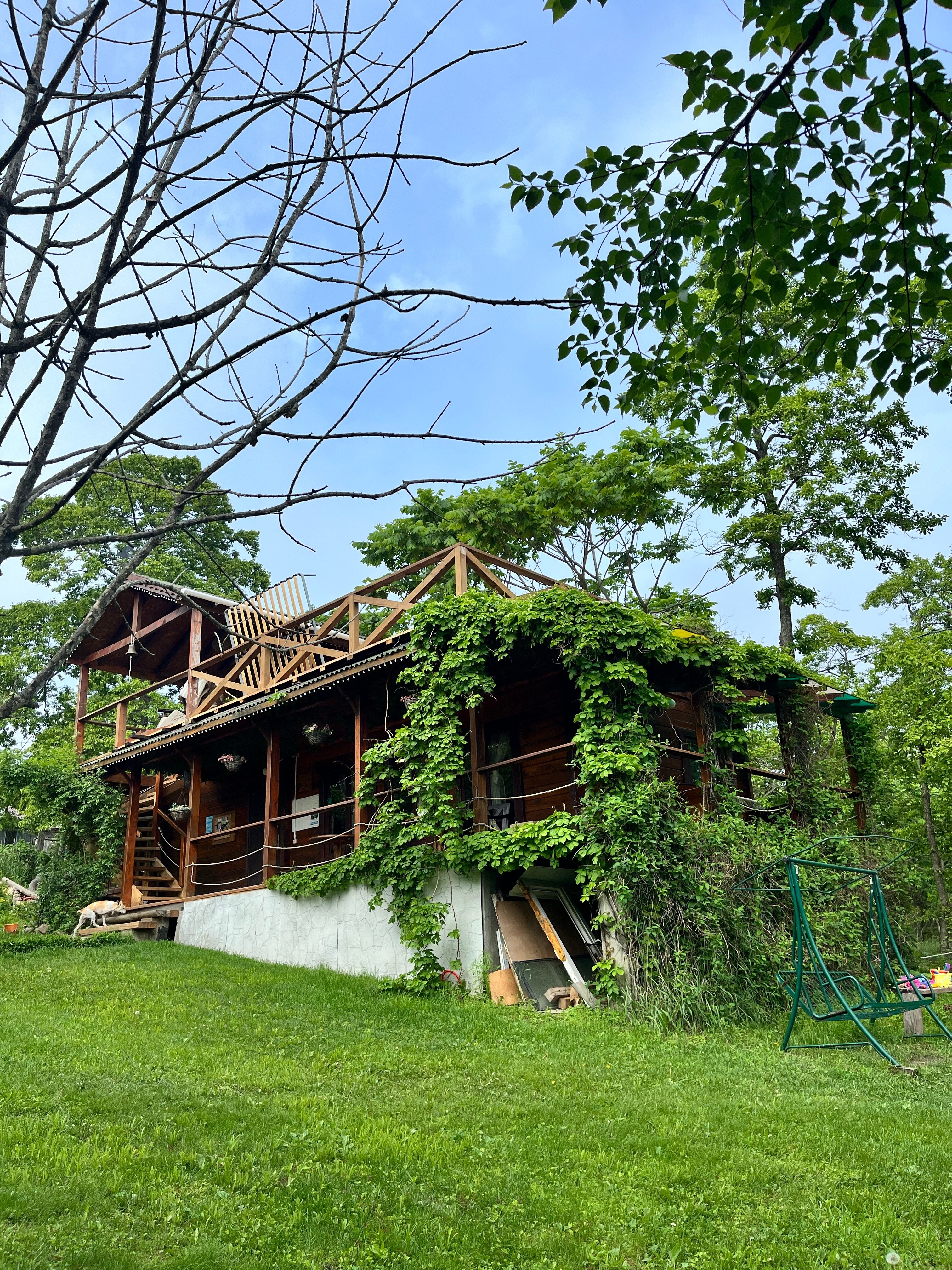 Фото Ольховая